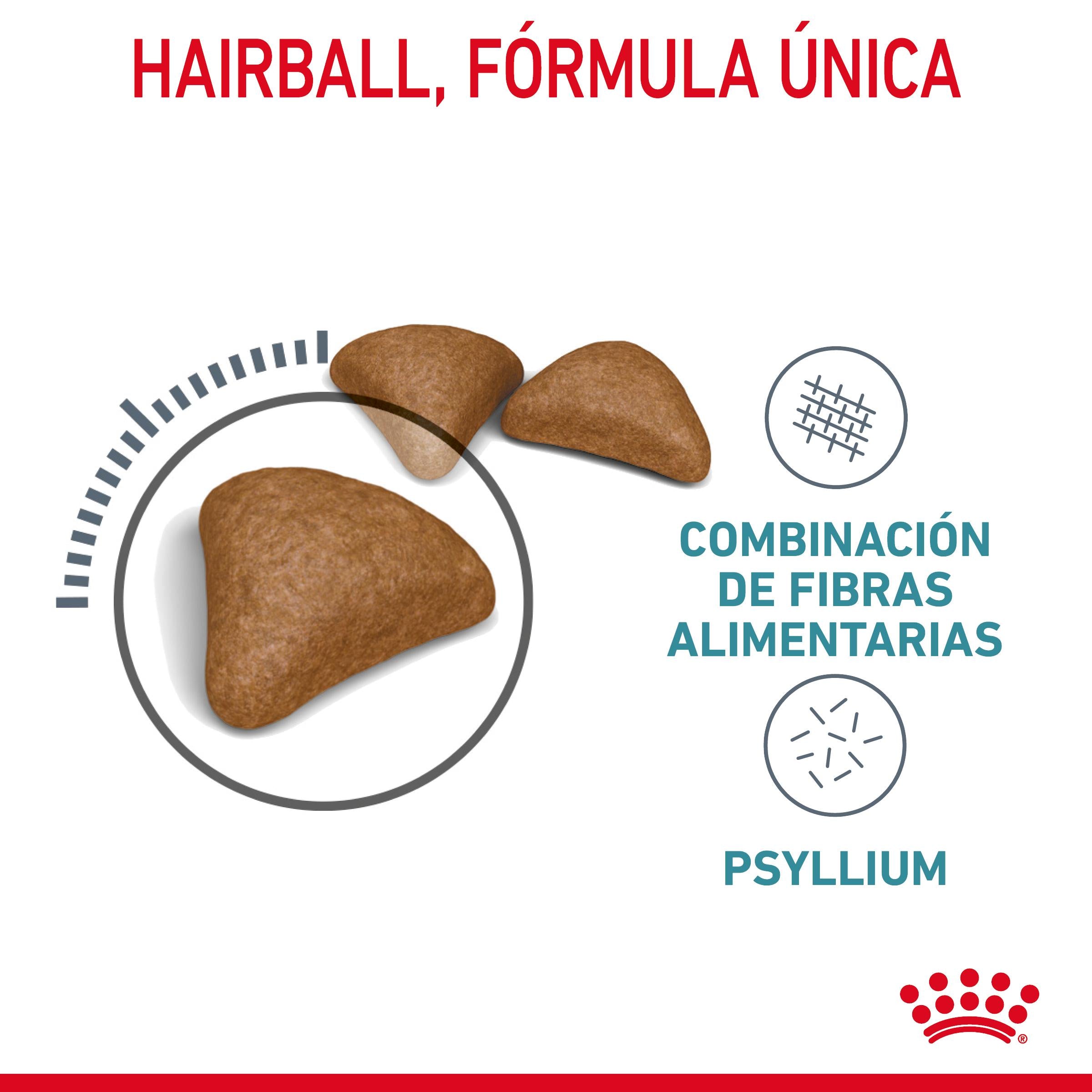 Royal Canin Hairball Care Pienso para Gatos Anti Bolas de Pelo al mejor precio -Todoanimal.es