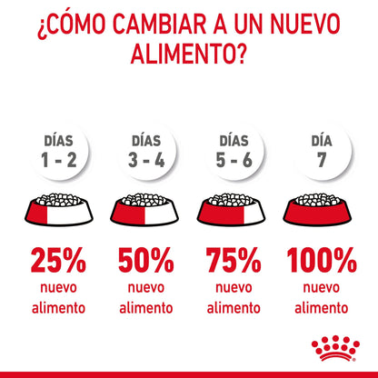Royal Canin Hairball Care Pienso para Gatos Anti Bolas de Pelo al mejor precio -Todoanimal.es