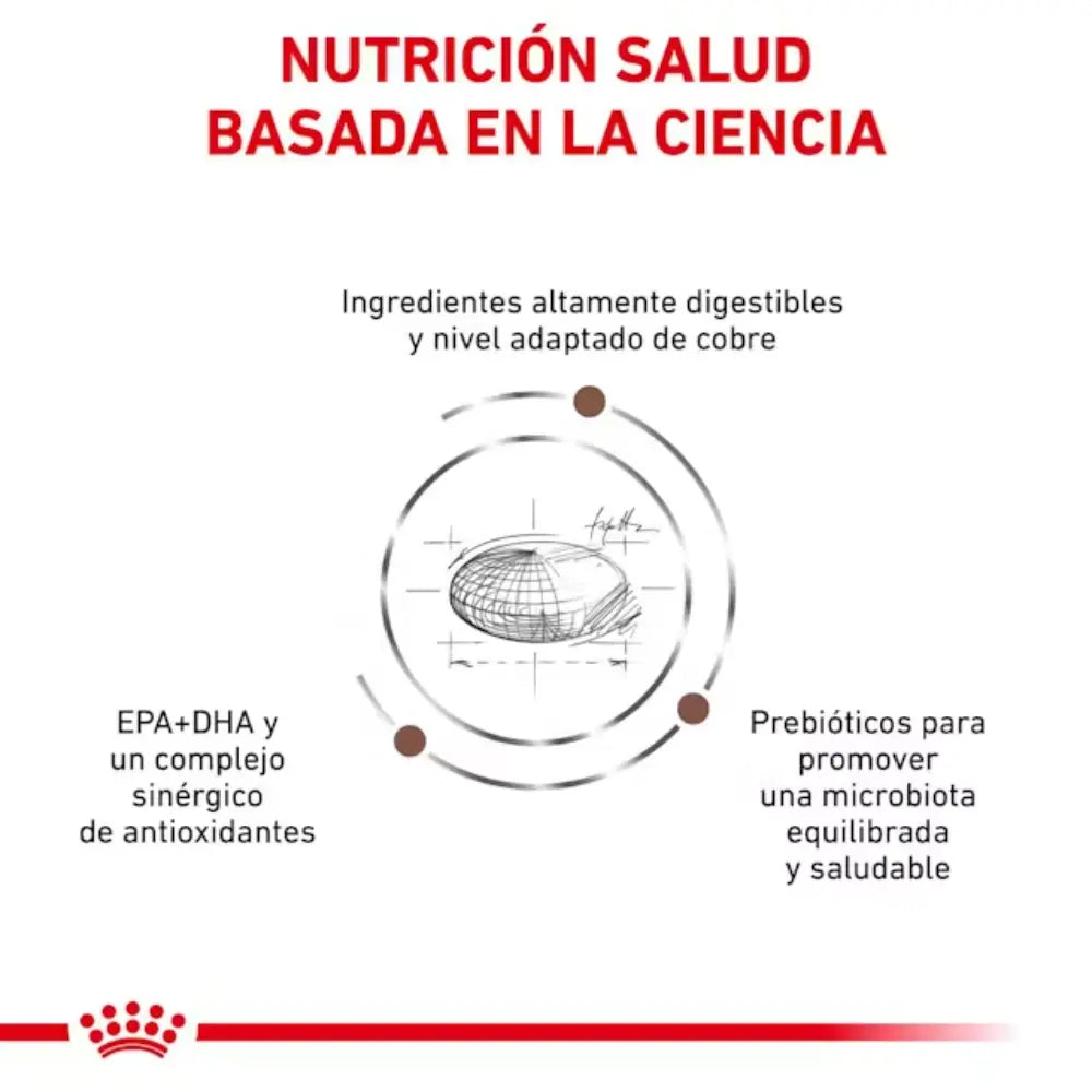 Royal Canin Hepatic Gato al mejor precio -Todoanimal.es