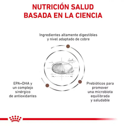 Royal Canin Hepatic Gato al mejor precio -Todoanimal.es
