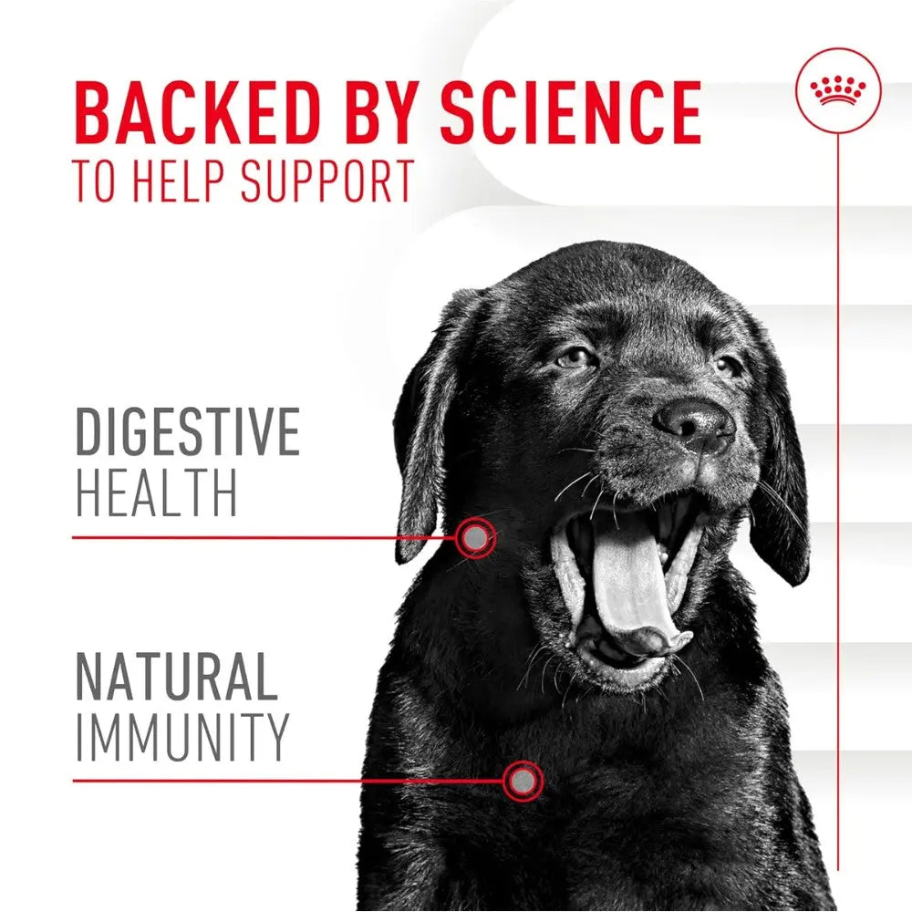 Royal Canin Immune & Digestion Support Chews Puppy 100 g Snack para Cachorros al mejor precio -Todoanimal.es