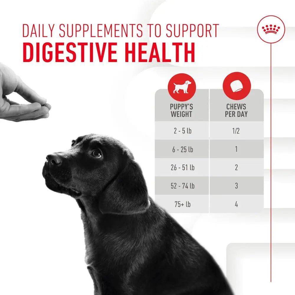 Royal Canin Immune & Digestion Support Chews Puppy 100 g Snack para Cachorros al mejor precio -Todoanimal.es