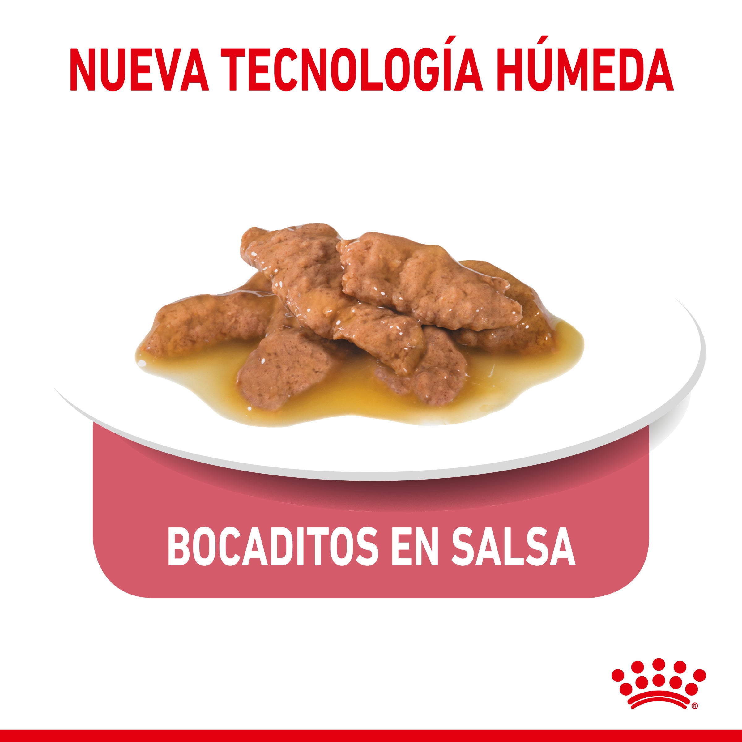 Royal Canin Indoor Sterilized 85 g Comida Húmeda en Salsa para Gatos al mejor precio -Todoanimal.es