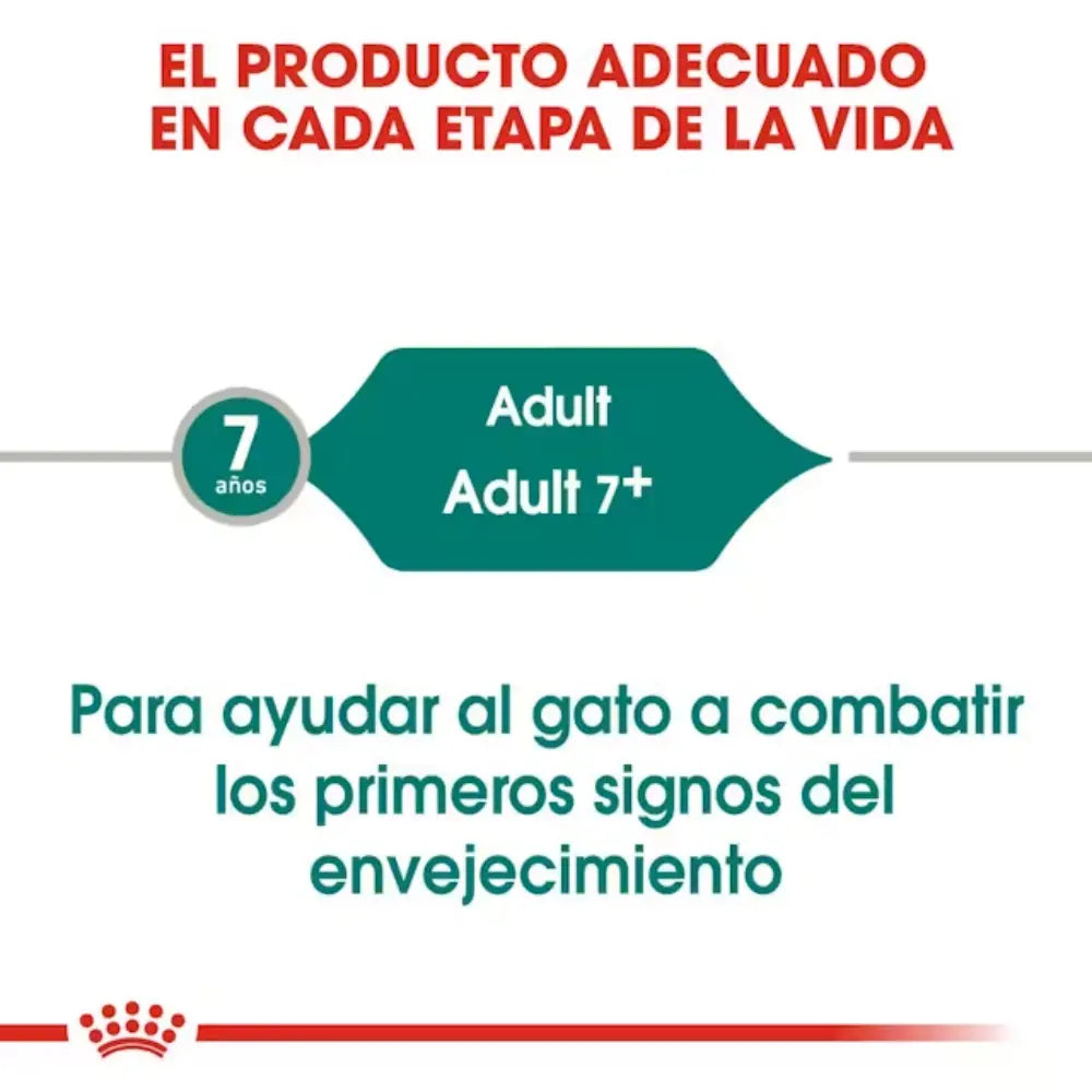 Royal Canin Instinctive +7 85 g Húmedo Salsa Fhn al mejor precio -Todoanimal.es