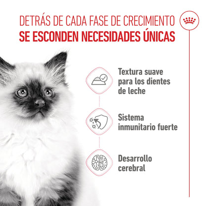 Royal Canin Kitten Húmedo 85 g para Gatos | Salsa, Gelatina o Paté al mejor precio -Todoanimal.es