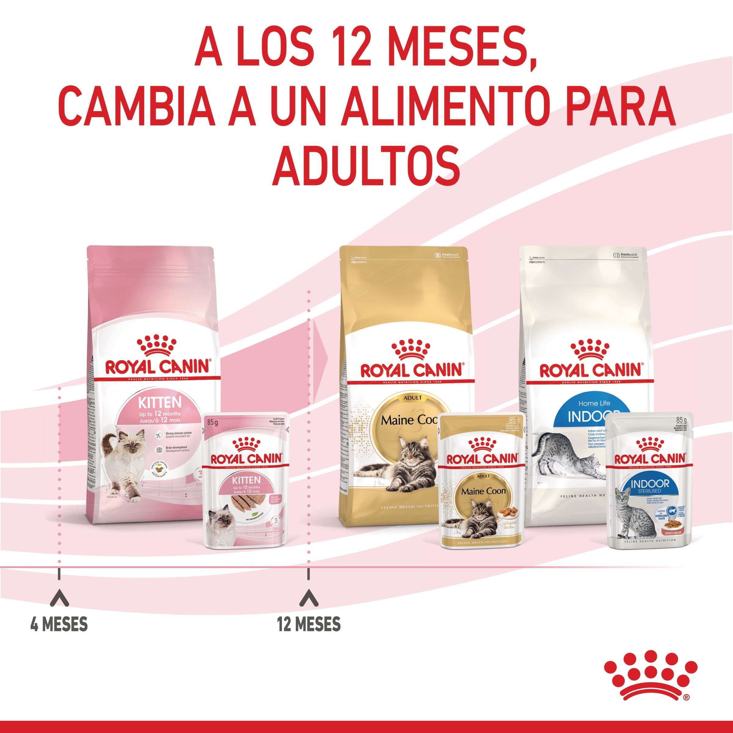 Royal Canin Kitten Húmedo 85 g para Gatos | Salsa, Gelatina o Paté al mejor precio -Todoanimal.es