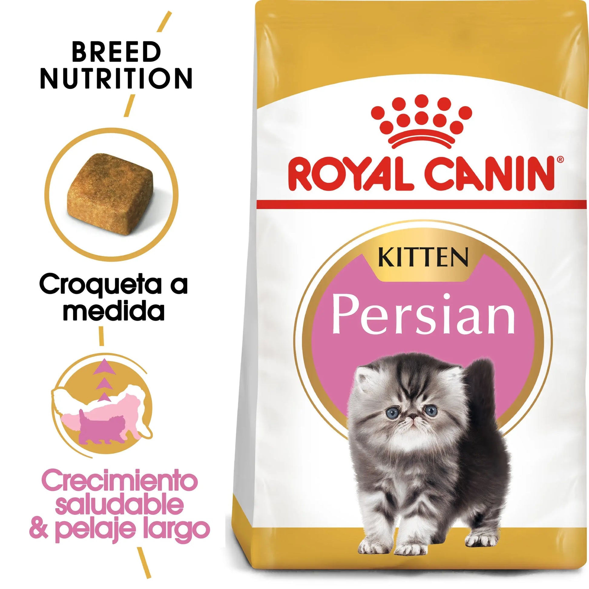 Royal Canin Kitten Persian Pienso Seco para Gatitos Persas al mejor precio -Todoanimal.es