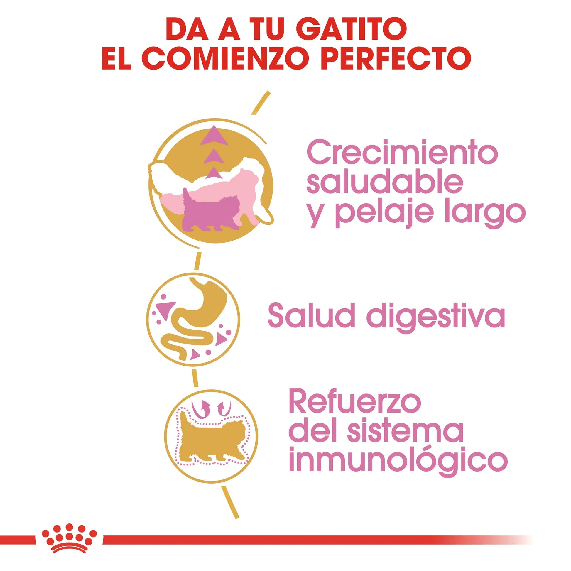 Royal Canin Kitten Persian Pienso Seco para Gatitos Persas al mejor precio -Todoanimal.es