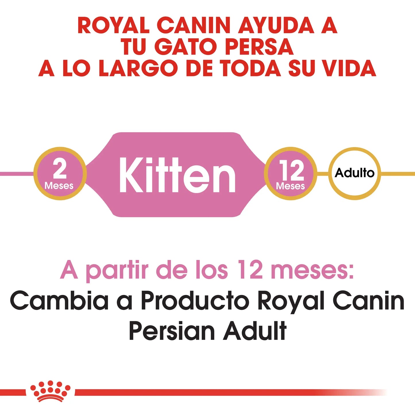 Royal Canin Kitten Persian Pienso Seco para Gatitos Persas al mejor precio -Todoanimal.es