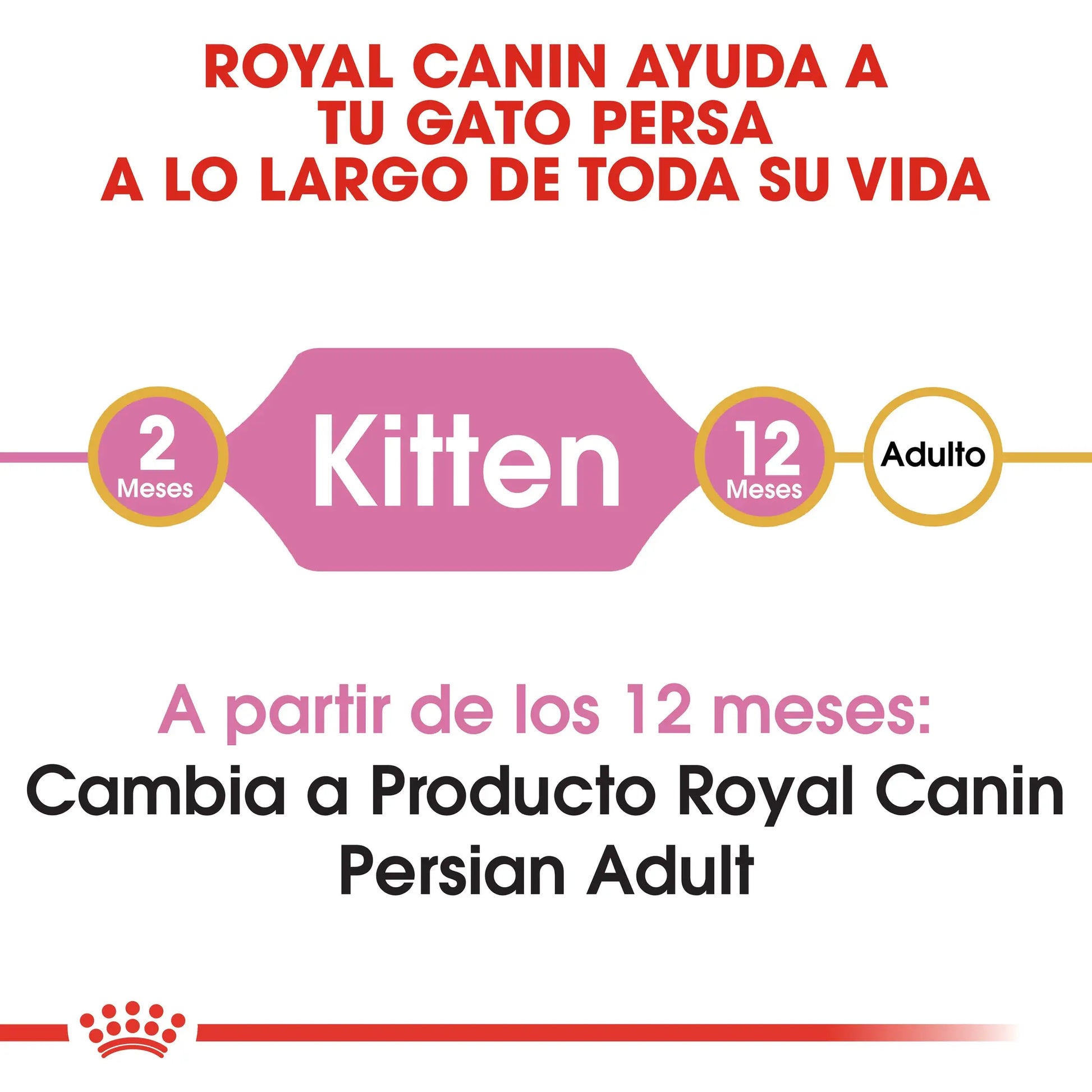 Royal Canin Kitten Persian Pienso Seco para Gatitos Persas al mejor precio -Todoanimal.es