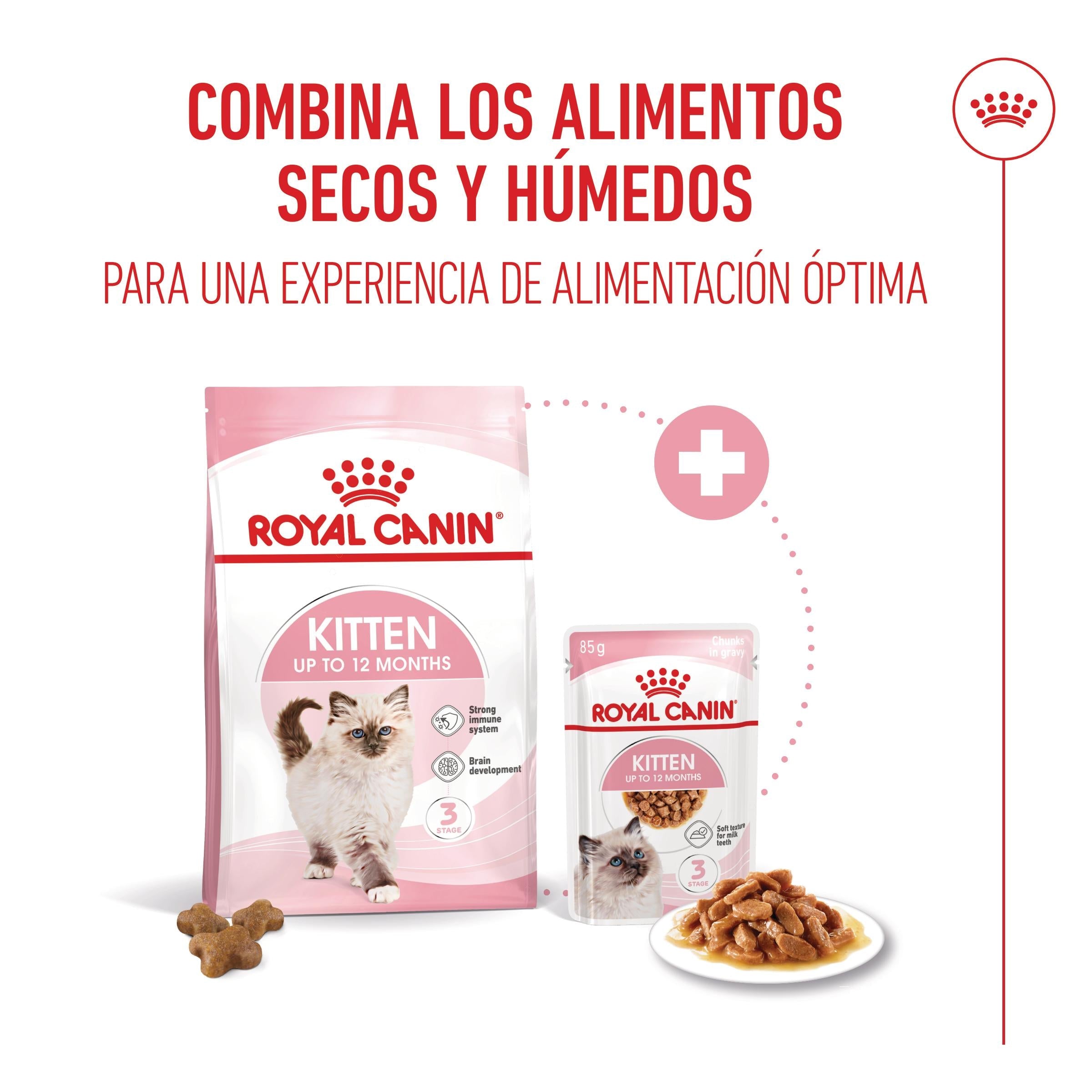 Royal Canin Kitten Pienso para Gatitos al mejor precio -Todoanimal.es
