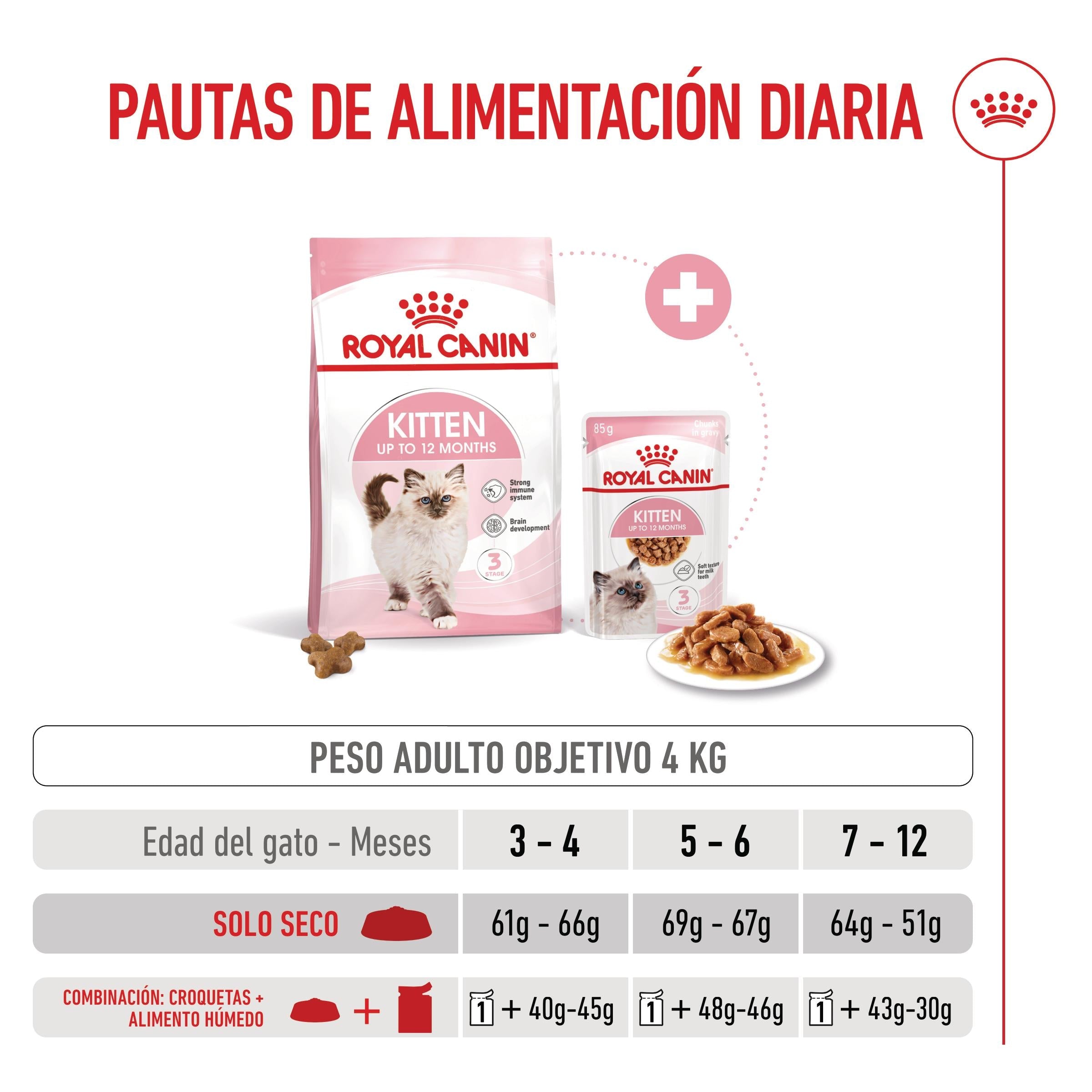 Royal Canin Kitten Pienso para Gatitos al mejor precio -Todoanimal.es