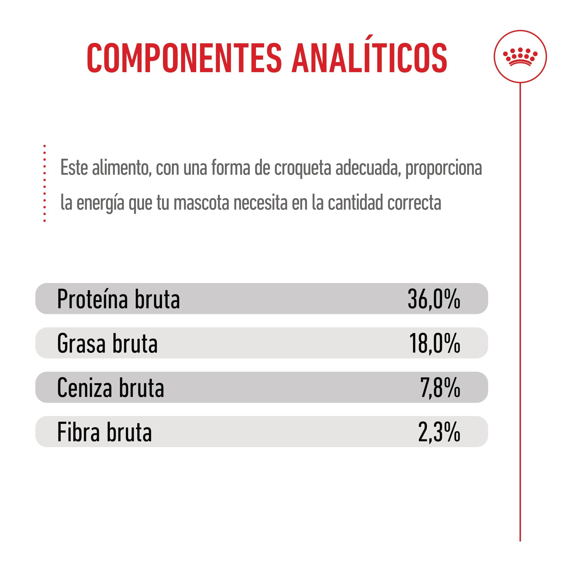 Royal Canin Kitten Pienso para Gatitos al mejor precio -Todoanimal.es