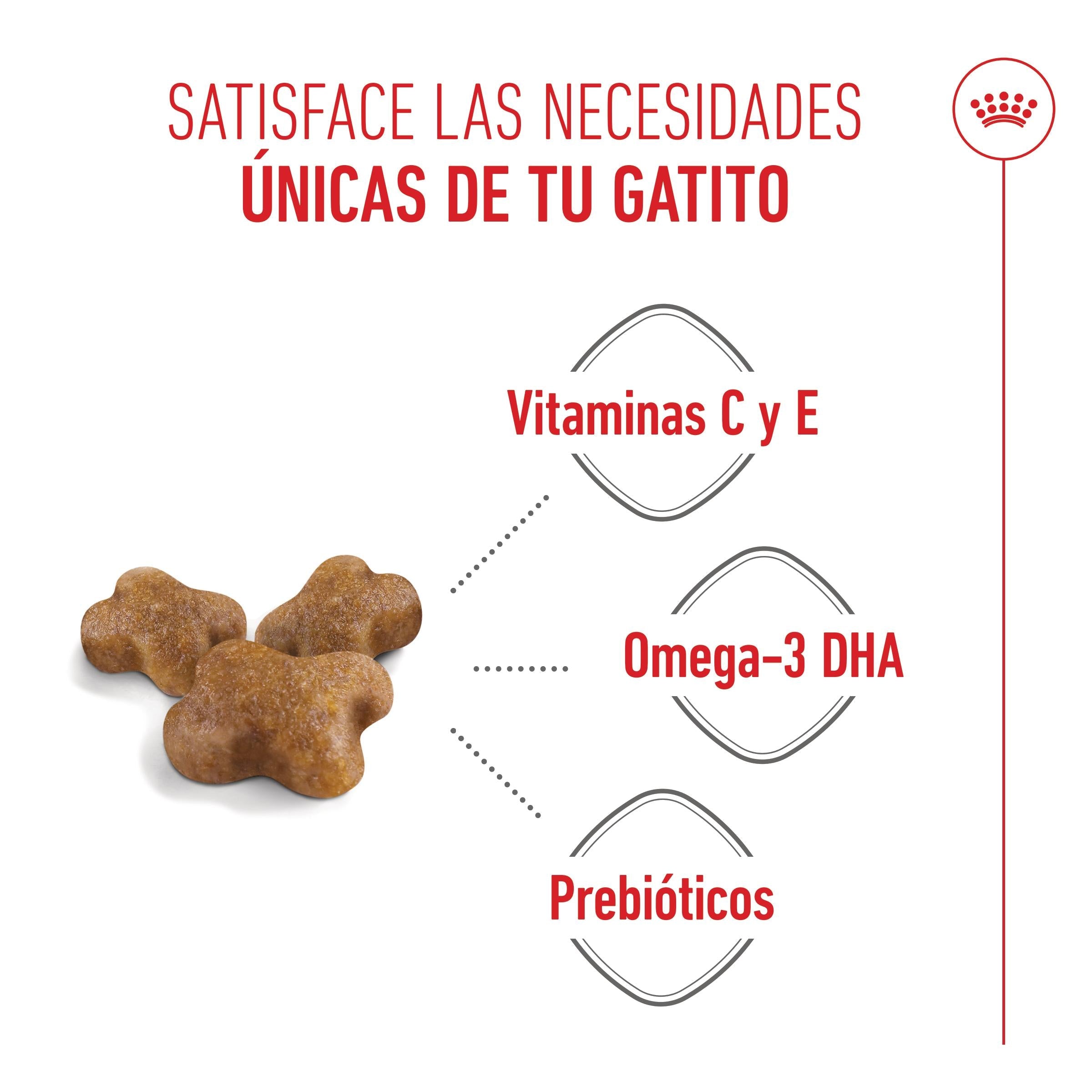 Royal Canin Kitten Pienso para Gatitos al mejor precio -Todoanimal.es