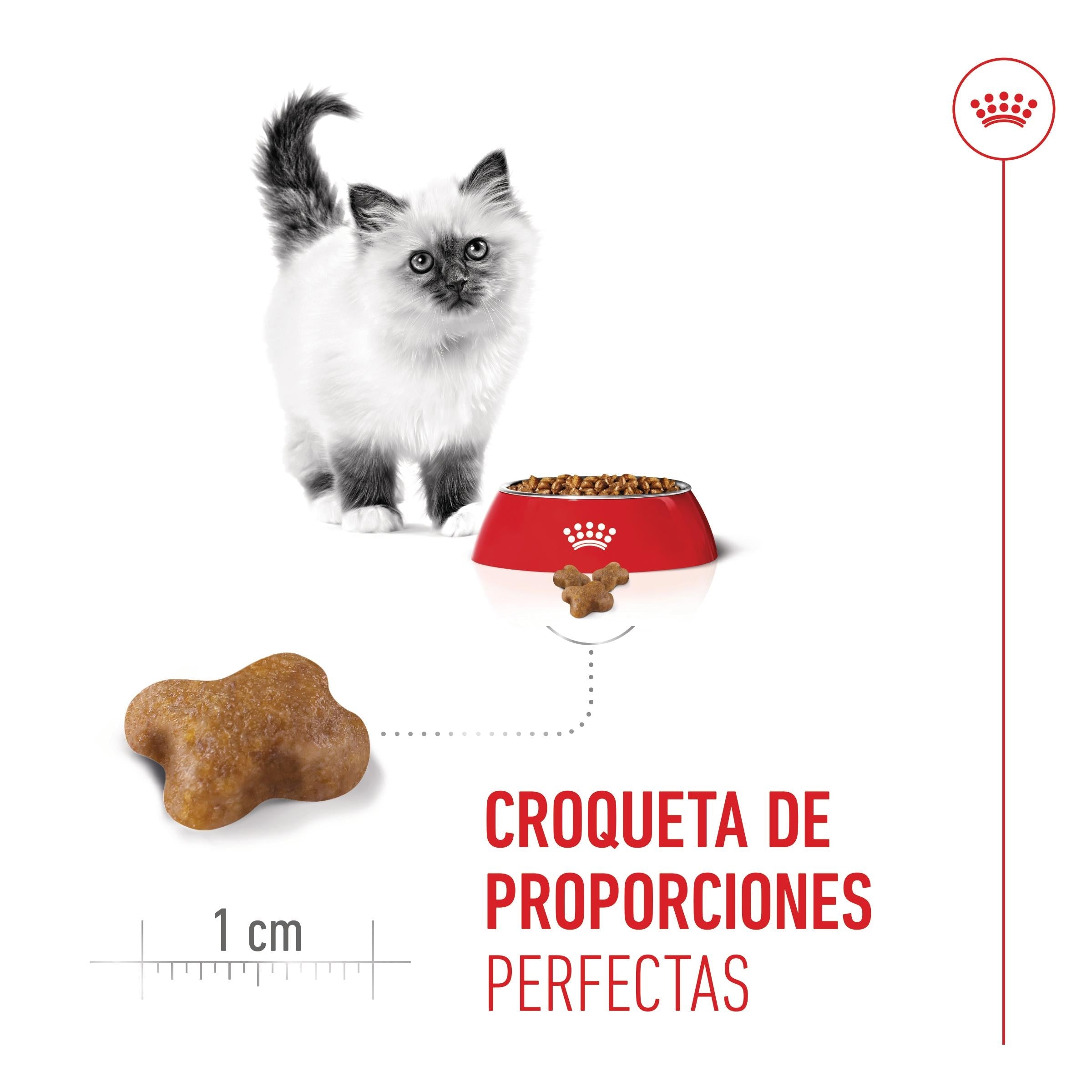 Royal Canin Kitten Pienso para Gatitos al mejor precio -Todoanimal.es