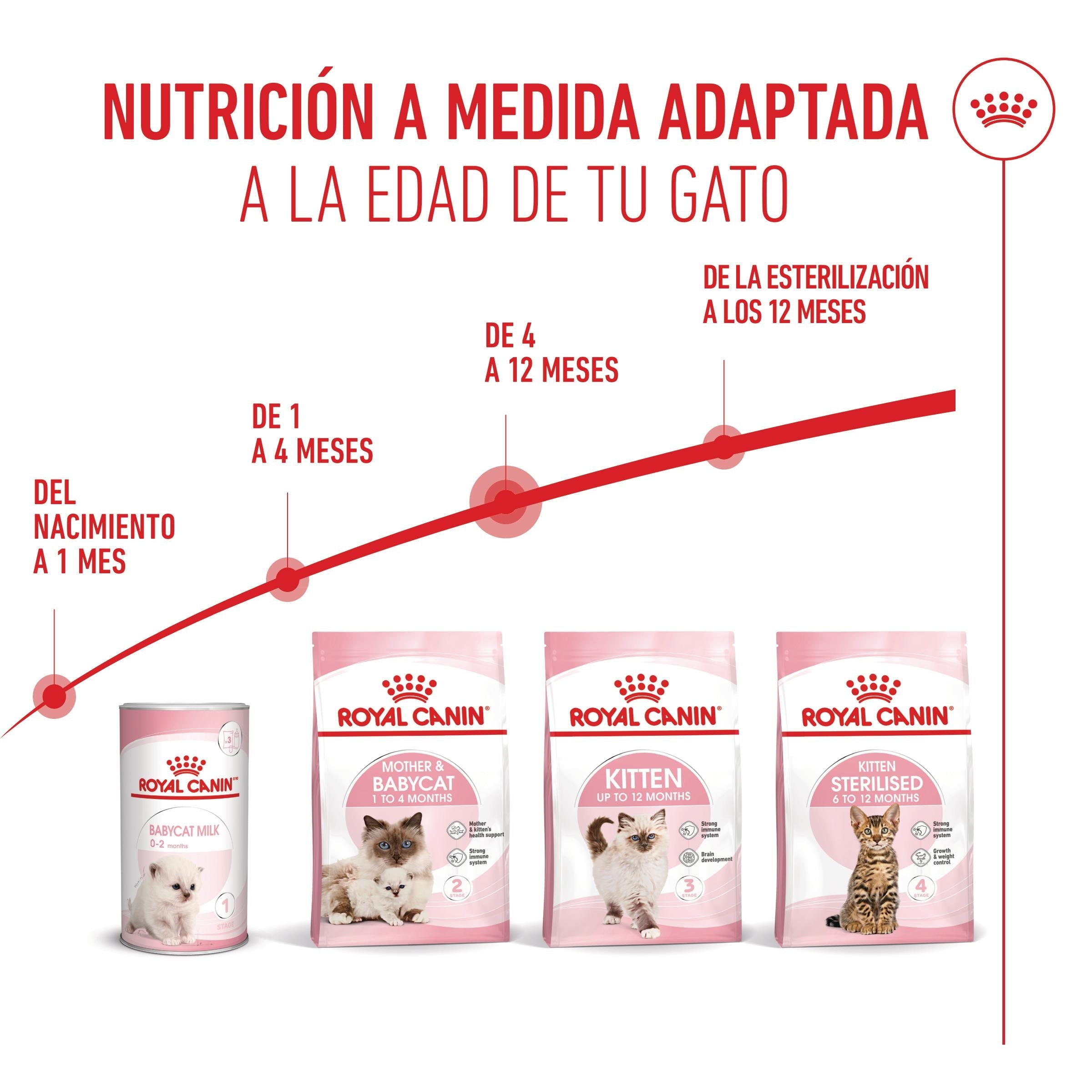 Royal Canin Kitten Pienso para Gatitos al mejor precio -Todoanimal.es