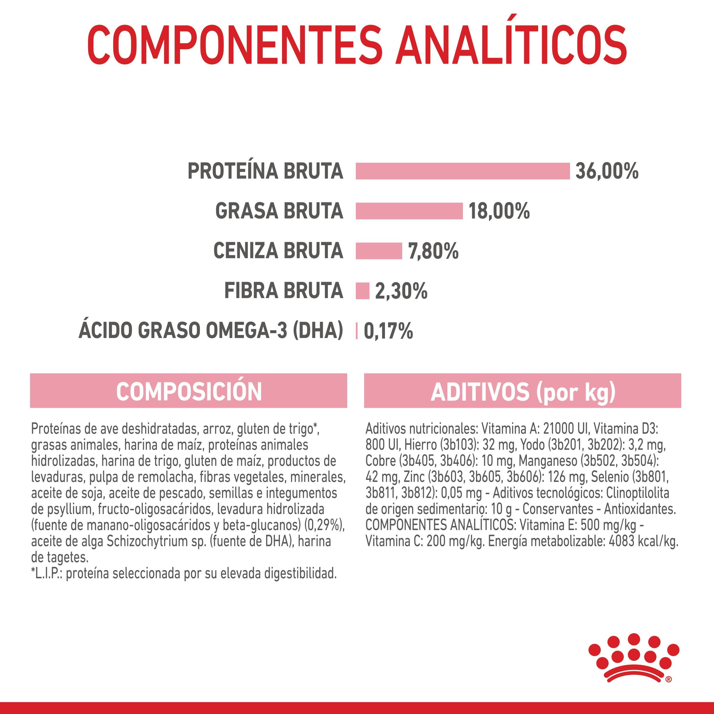 Royal Canin Kitten Pienso para Gatitos al mejor precio -Todoanimal.es