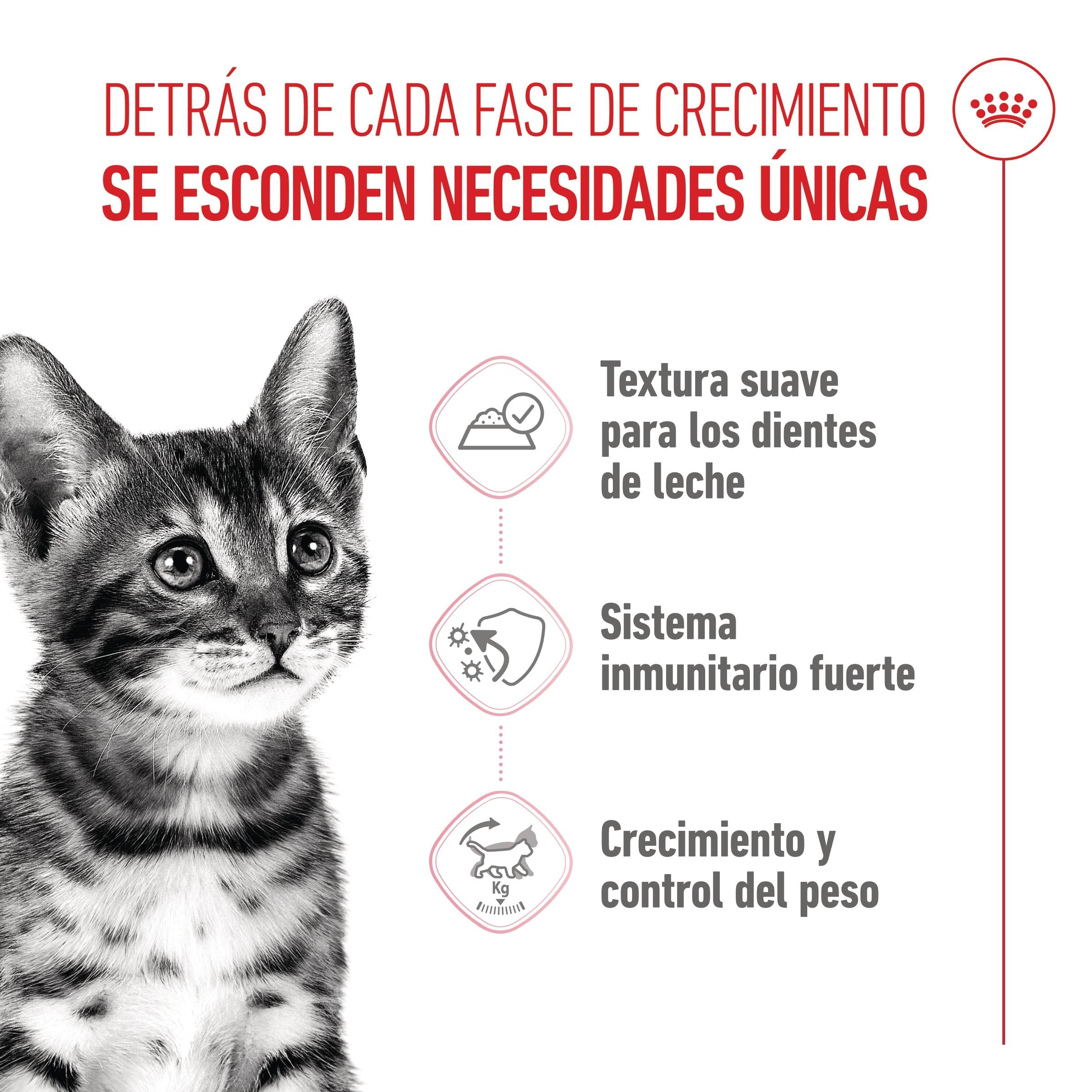 Royal Canin Kitten Sterilized Gelatina 85 g Alimento Húmedo para Gatitos al mejor precio -Todoanimal.es
