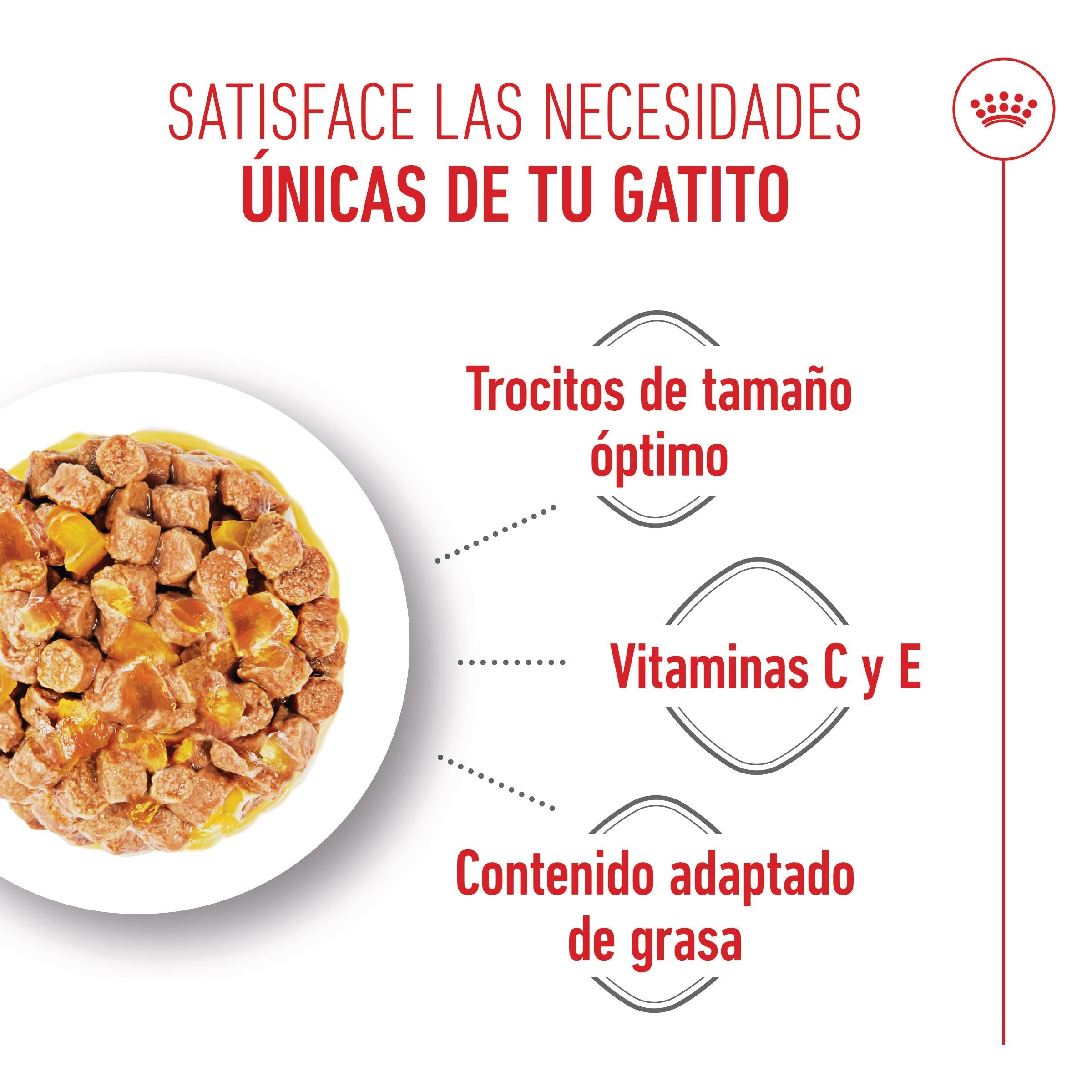 Royal Canin Kitten Sterilized Gelatina 85 g Alimento Húmedo para Gatitos al mejor precio -Todoanimal.es