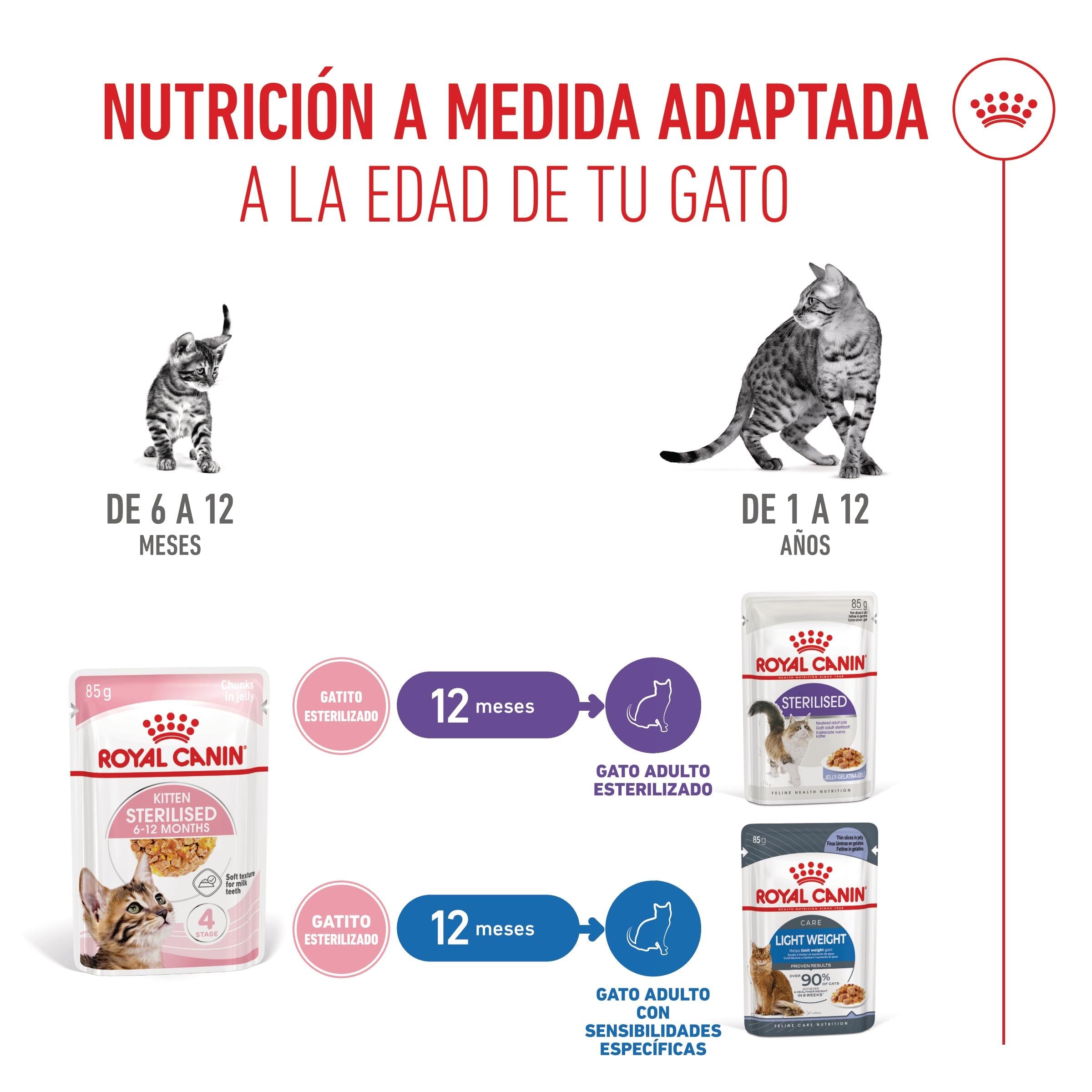 Royal Canin Kitten Sterilized Gelatina 85 g Alimento Húmedo para Gatitos al mejor precio -Todoanimal.es