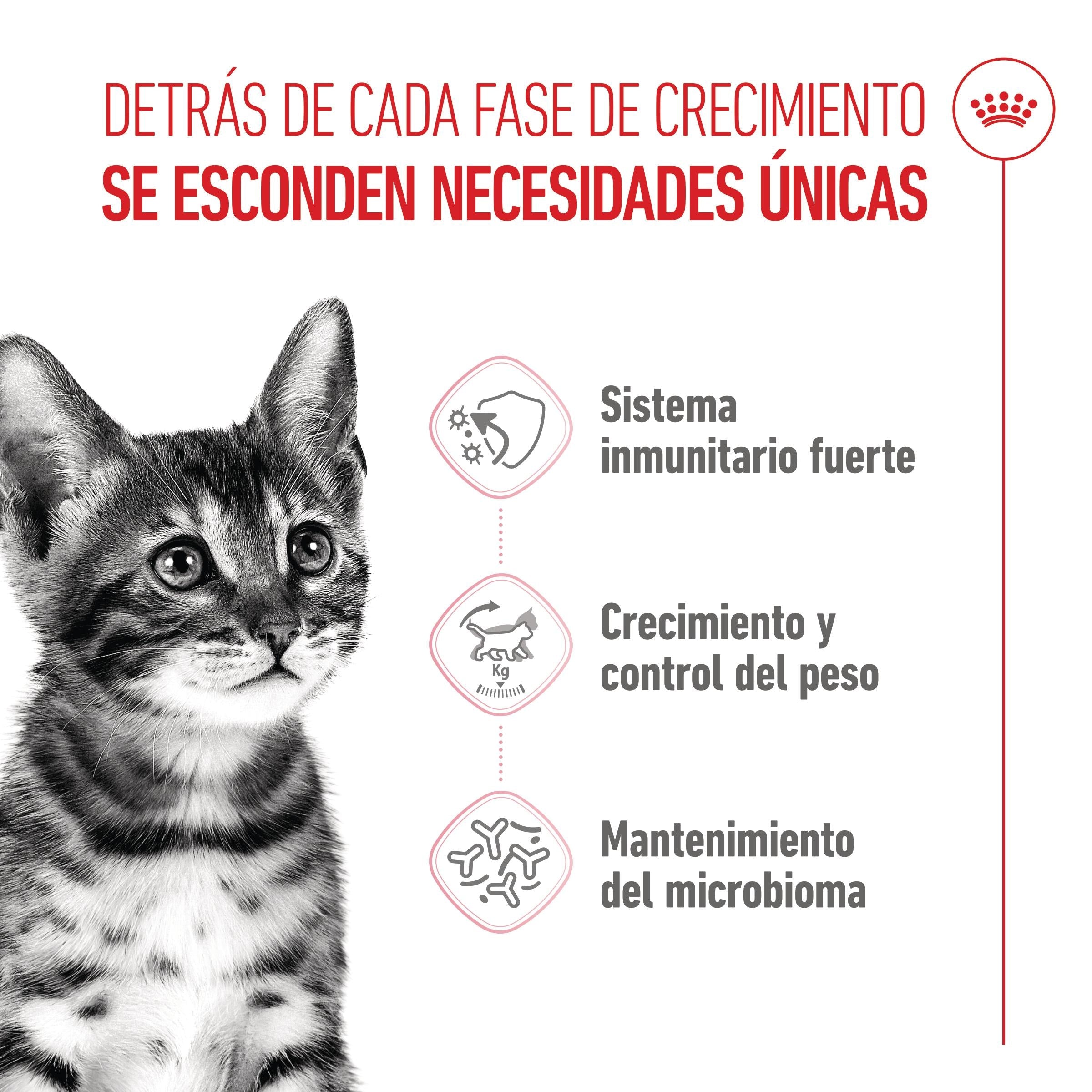 Royal Canin Kitten Sterilized Pienso para Gatitos Esterilizados al mejor precio -Todoanimal.es