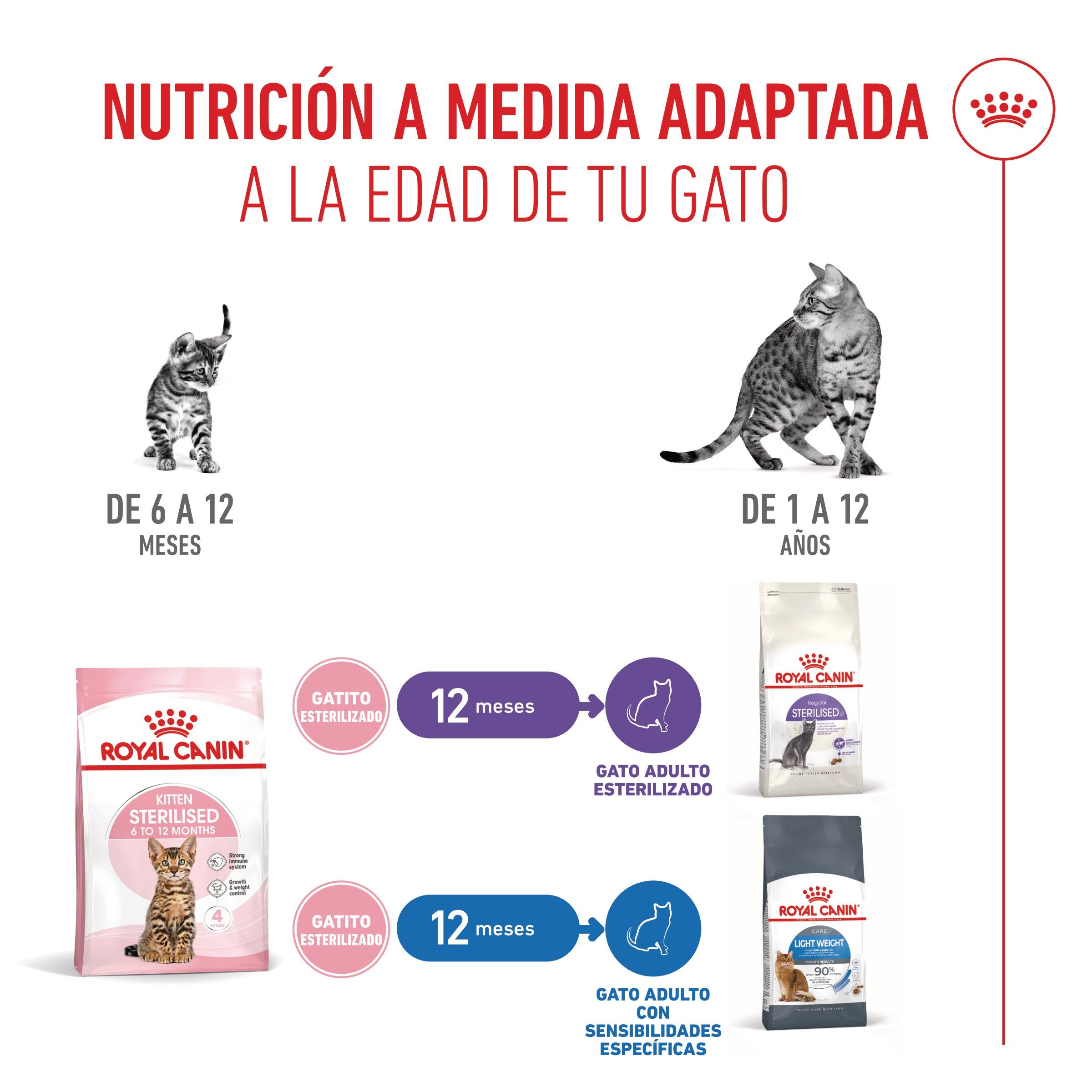 Royal Canin Kitten Sterilized Pienso para Gatitos Esterilizados al mejor precio -Todoanimal.es