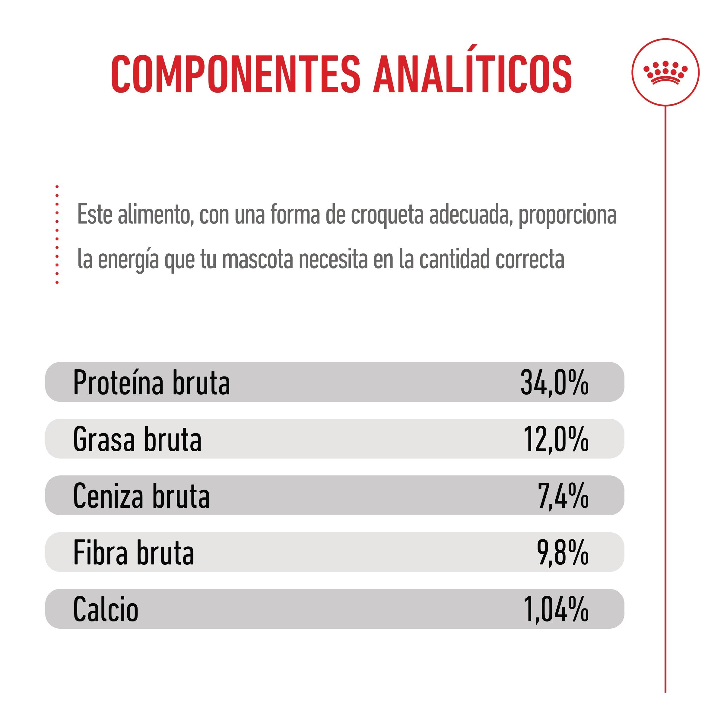 Royal Canin Kitten Sterilized Pienso para Gatitos Esterilizados al mejor precio -Todoanimal.es