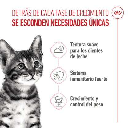 Royal Canin Kitten Sterilized en Salsa 85 g Comida Húmeda para Gatitos al mejor precio -Todoanimal.es