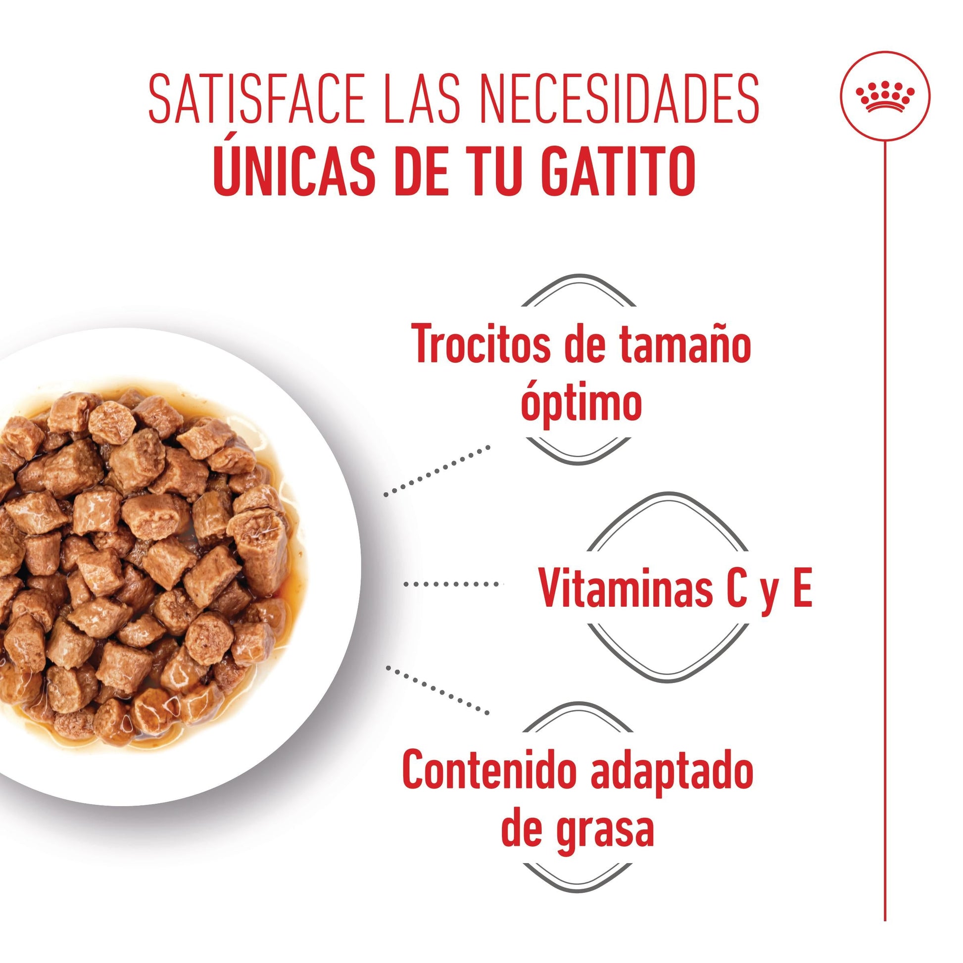 Royal Canin Kitten Sterilized en Salsa 85 g Comida Húmeda para Gatitos al mejor precio -Todoanimal.es