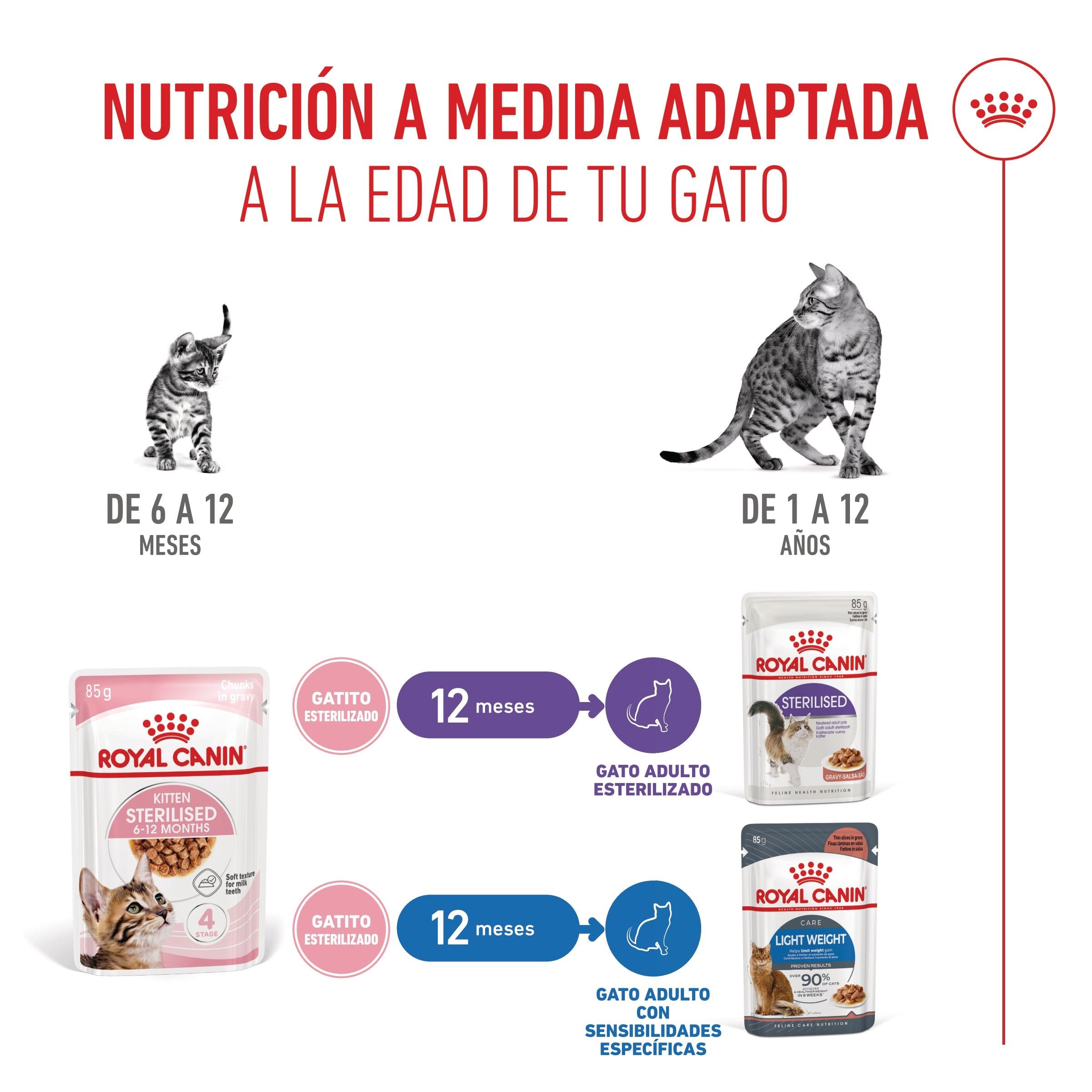 Royal Canin Kitten Sterilized en Salsa 85 g Comida Húmeda para Gatitos al mejor precio -Todoanimal.es