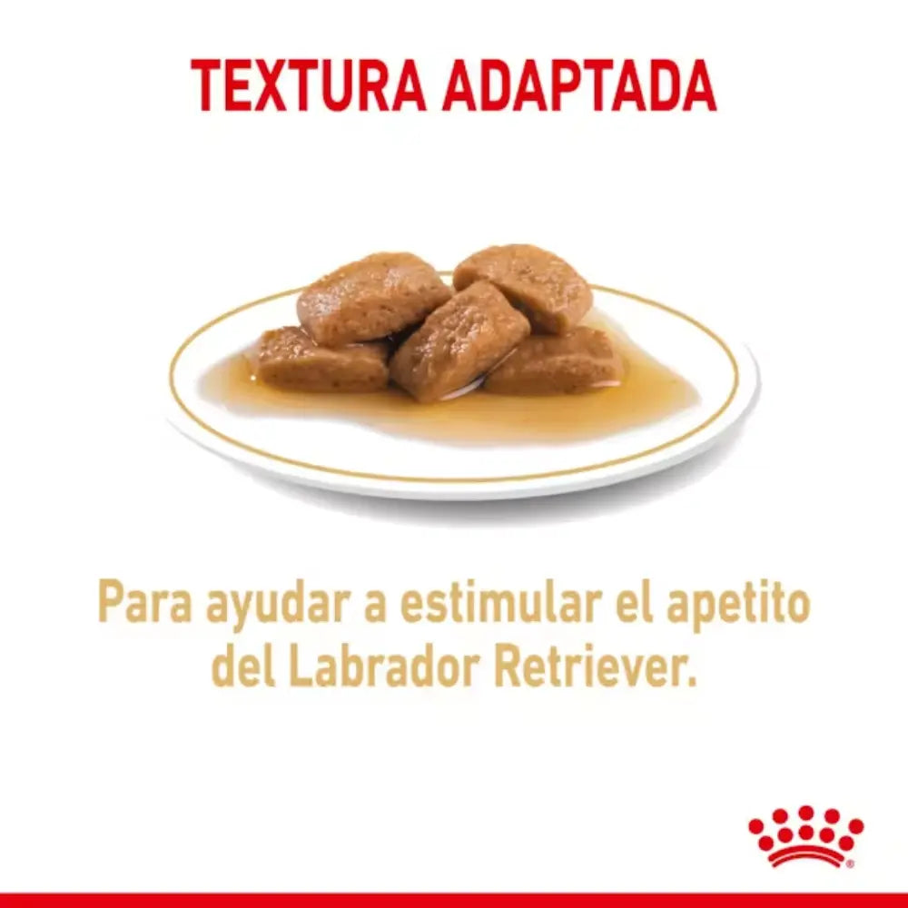 Royal Canin Labrador Adult 140 g Húmedo al mejor precio -Todoanimal.es