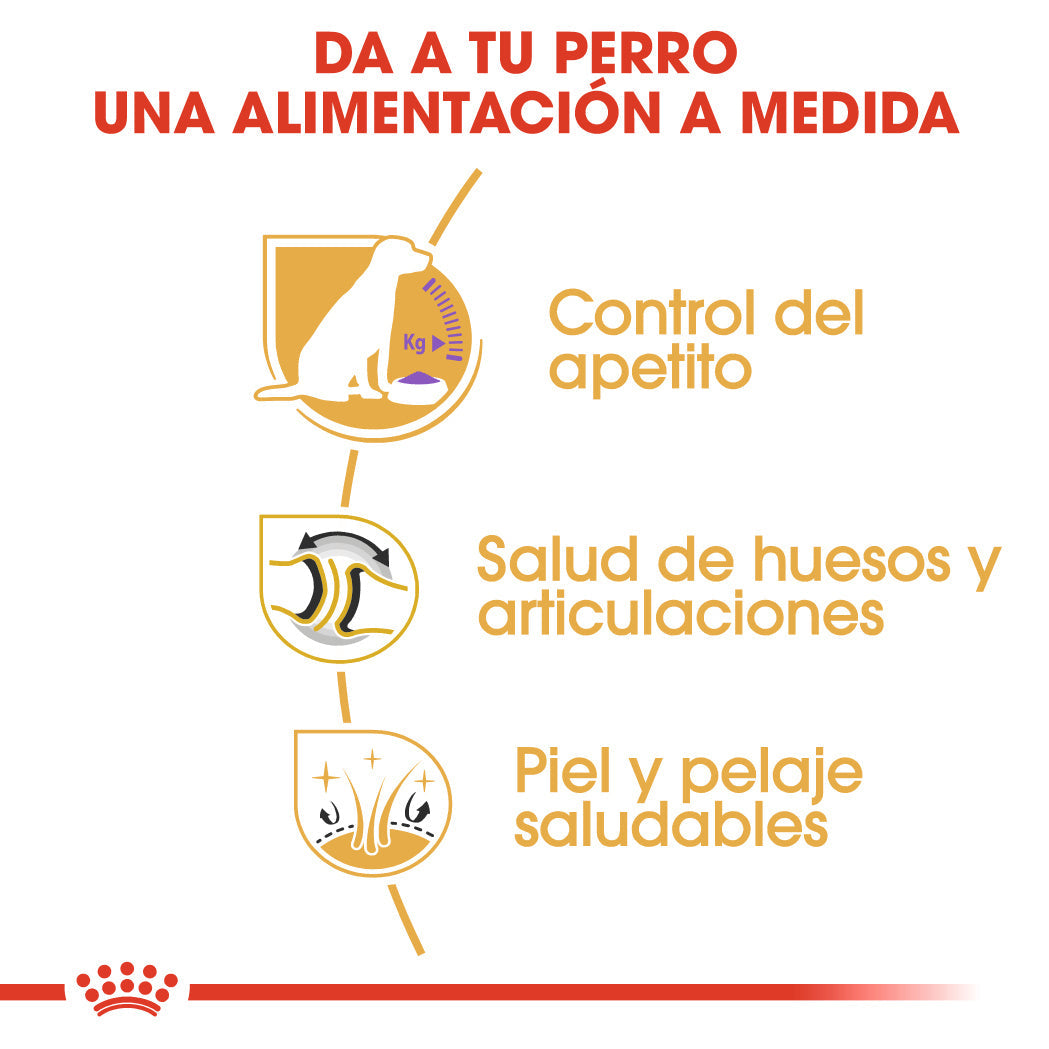 Royal Canin Labrador Adult Sterilized Pienso para Perros Esterilizados de Raza al mejor precio -Todoanimal.es