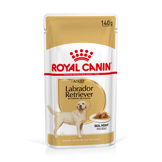 Royal Canin Labrador Paté Adulto 140 g Comida Húmeda para Perros al mejor precio -Todoanimal.es