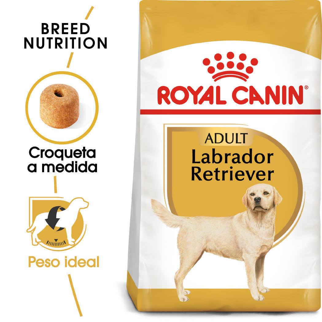 Royal Canin Labrador Pienso para Perros Adultos de Raza al mejor precio -Todoanimal.es