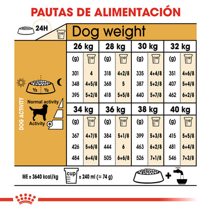 Royal Canin Labrador Pienso para Perros Adultos de Raza al mejor precio -Todoanimal.es