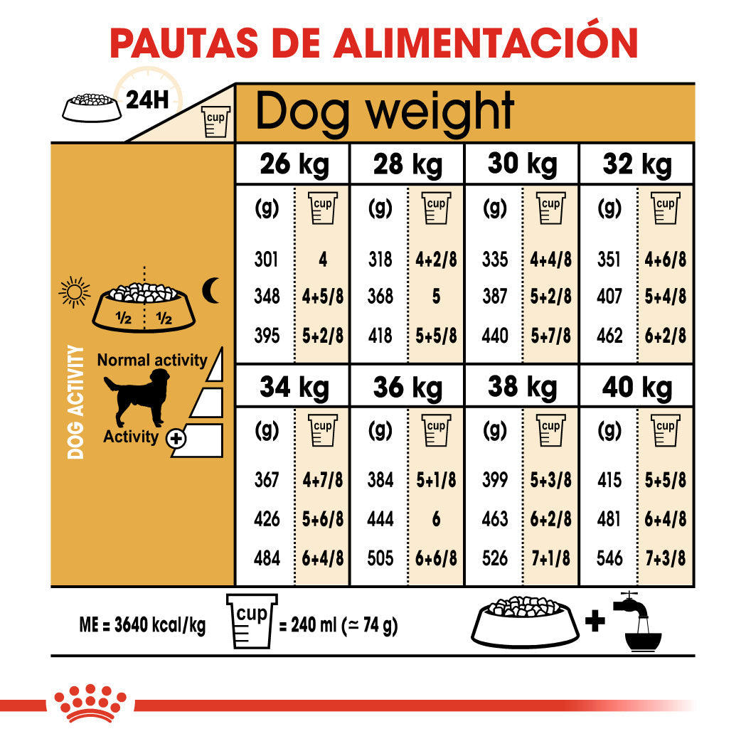 Royal Canin Labrador Pienso para Perros Adultos de Raza al mejor precio -Todoanimal.es