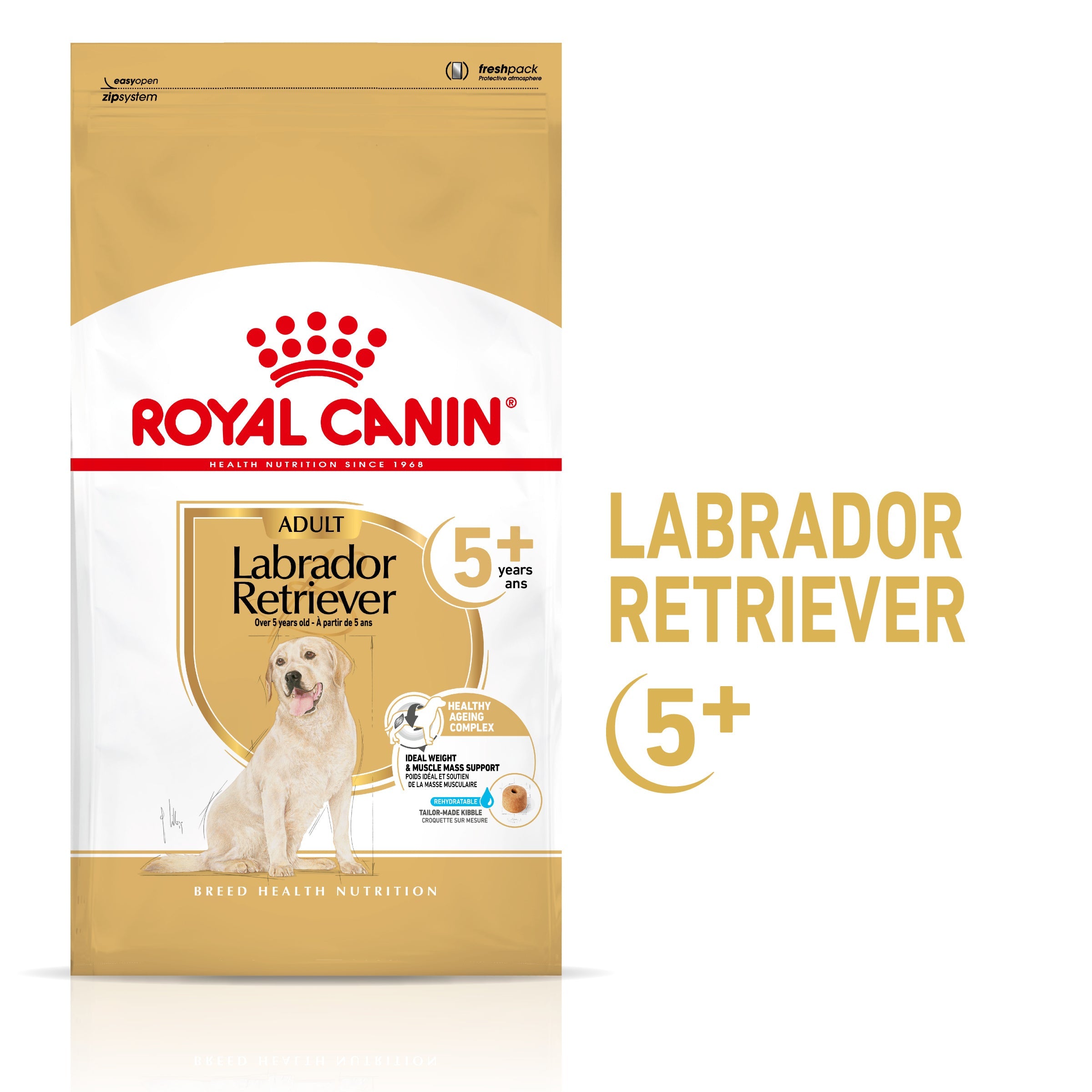 Royal Canin Labrador Retriever Ageing 5+ Pienso para Perros de Raza al mejor precio -Todoanimal.es