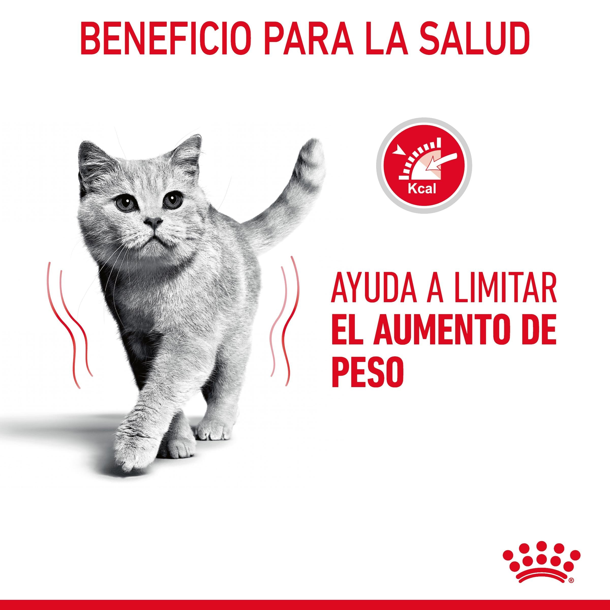 Royal Canin Light Weight Care Finas Láminas en Gelatina 85 g Húmedo para Gatos al mejor precio -Todoanimal.es