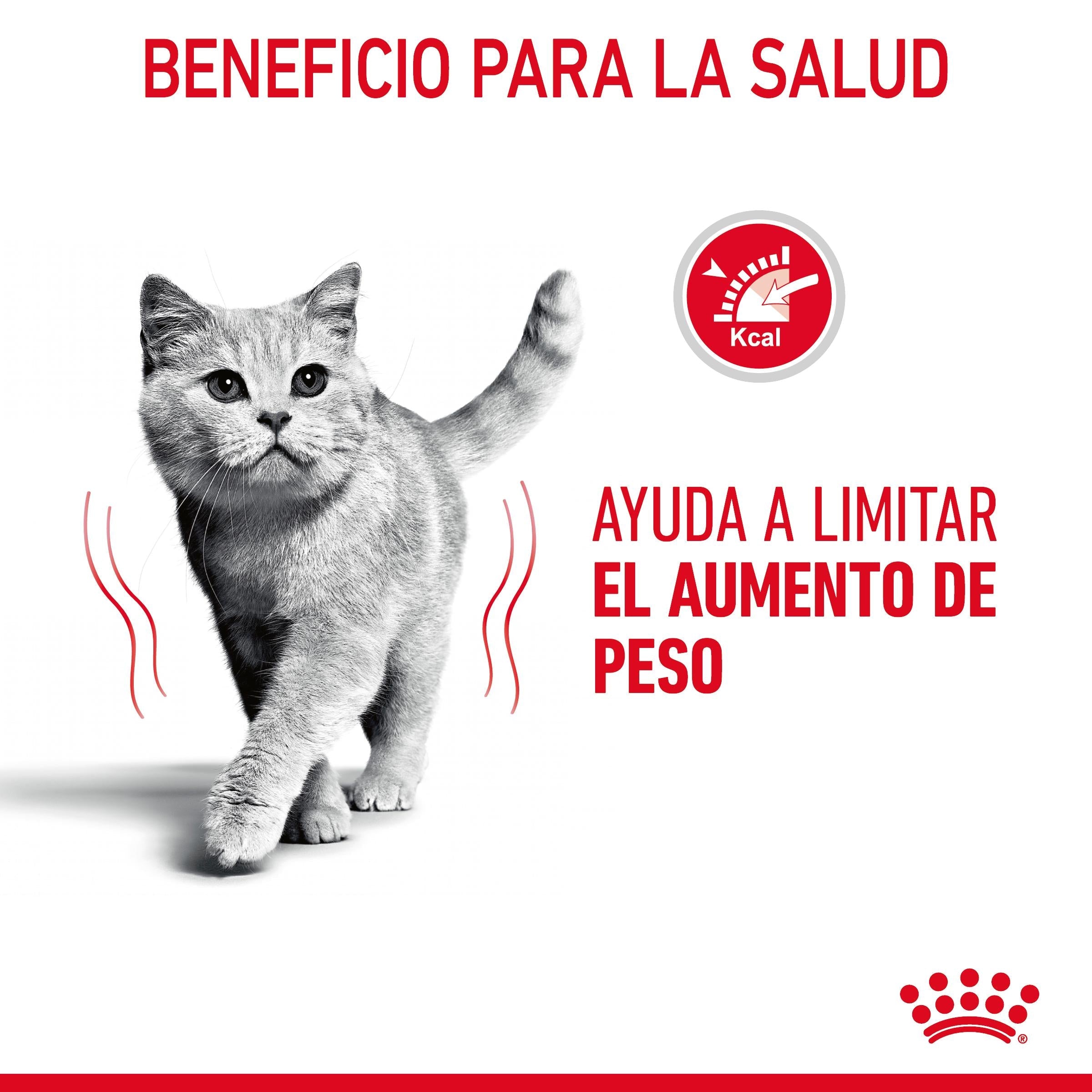 Royal Canin Light Weight Care Finas Láminas en Salsa 85 g Húmedo para Gatos al mejor precio -Todoanimal.es