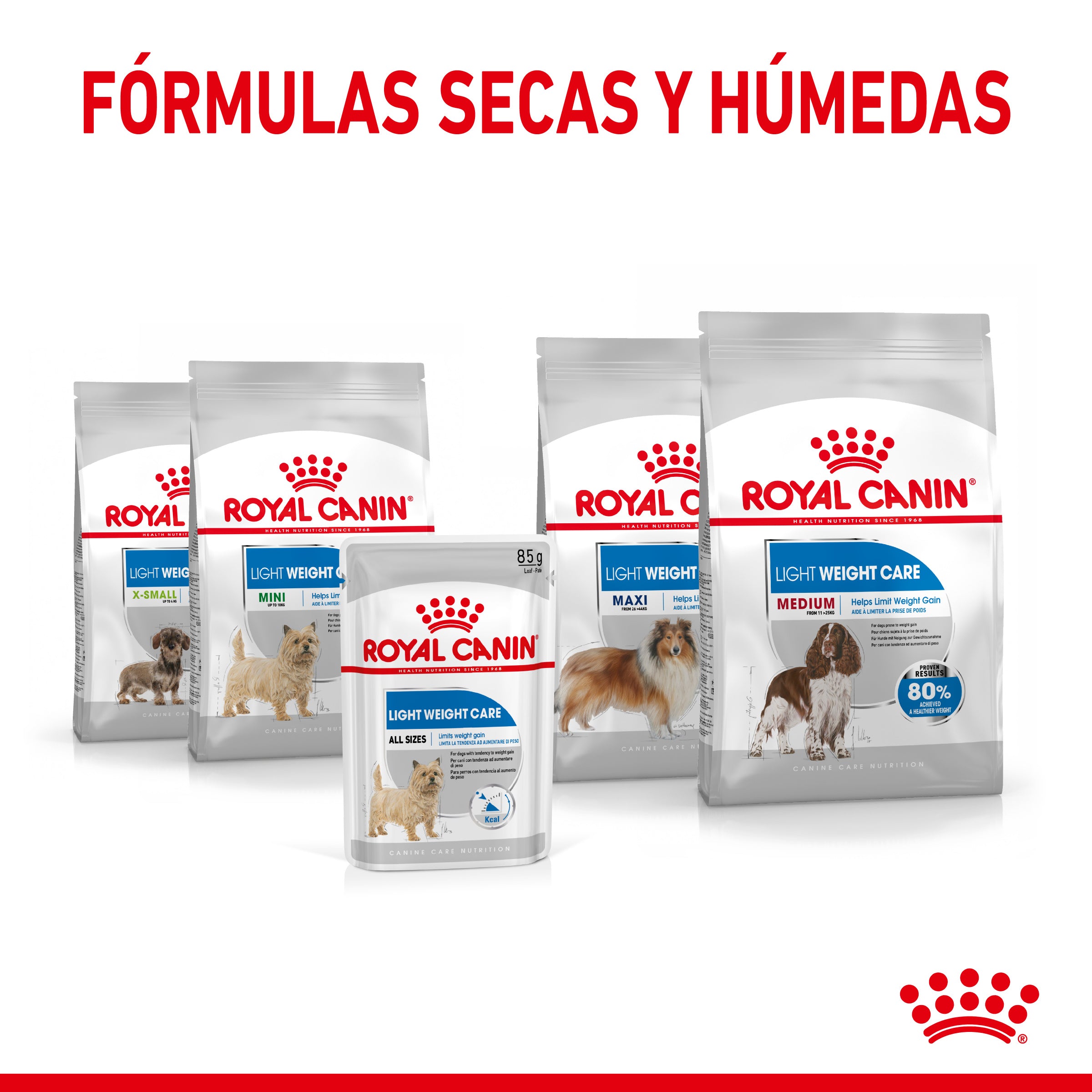 Royal Canin Light Weight Care Paté 85 g Comida Húmeda para Perros al mejor precio -Todoanimal.es