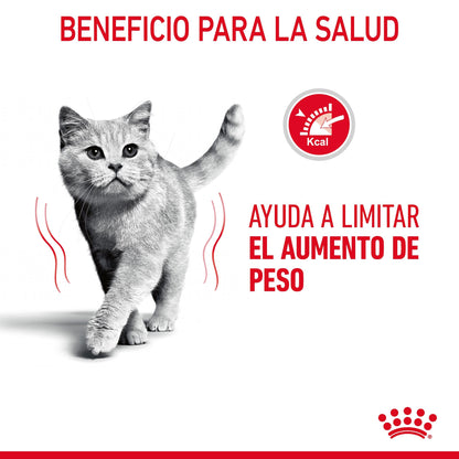Royal Canin Light Weight Care Pienso para Gatos al mejor precio -Todoanimal.es