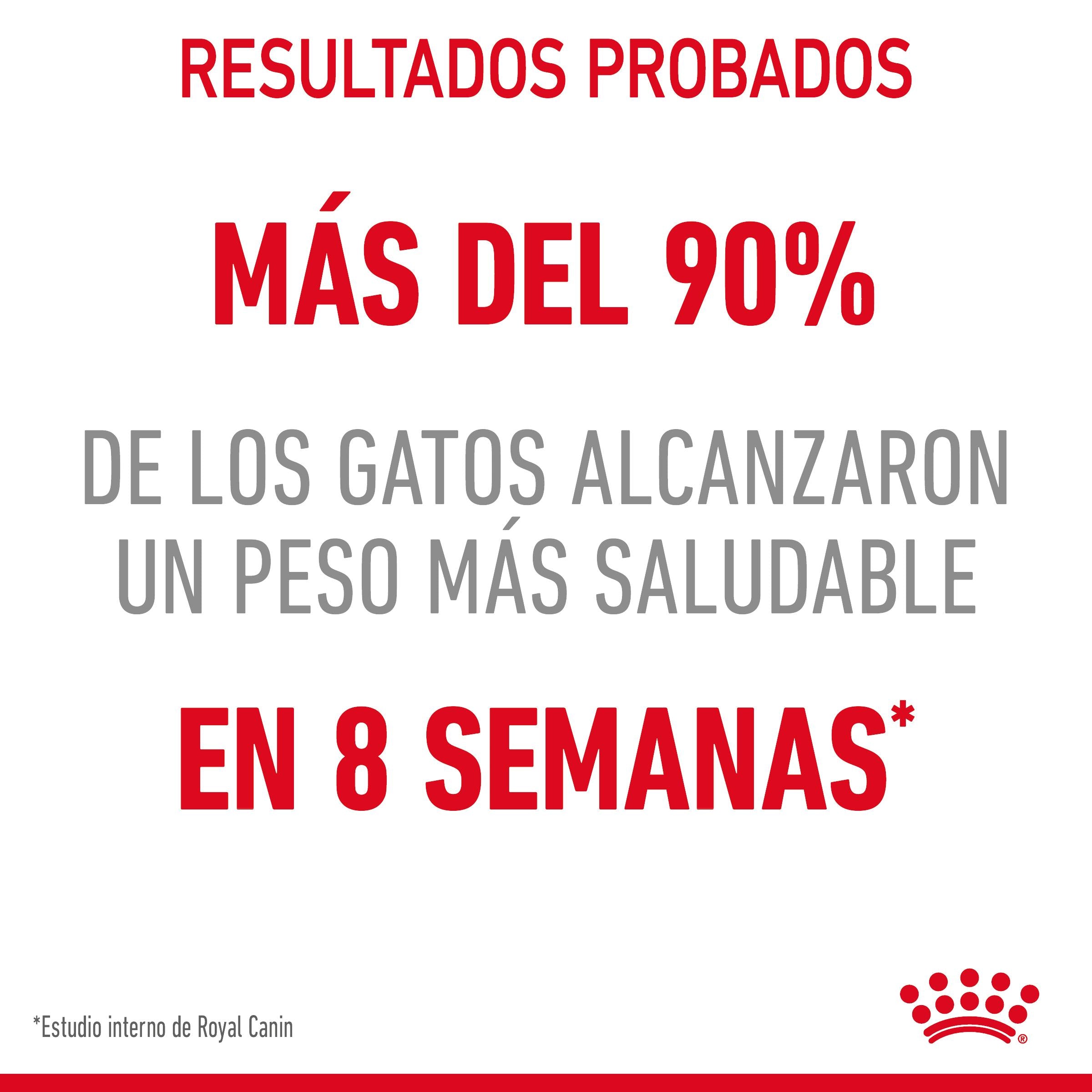 Royal Canin Light Weight Care Pienso para Gatos al mejor precio -Todoanimal.es