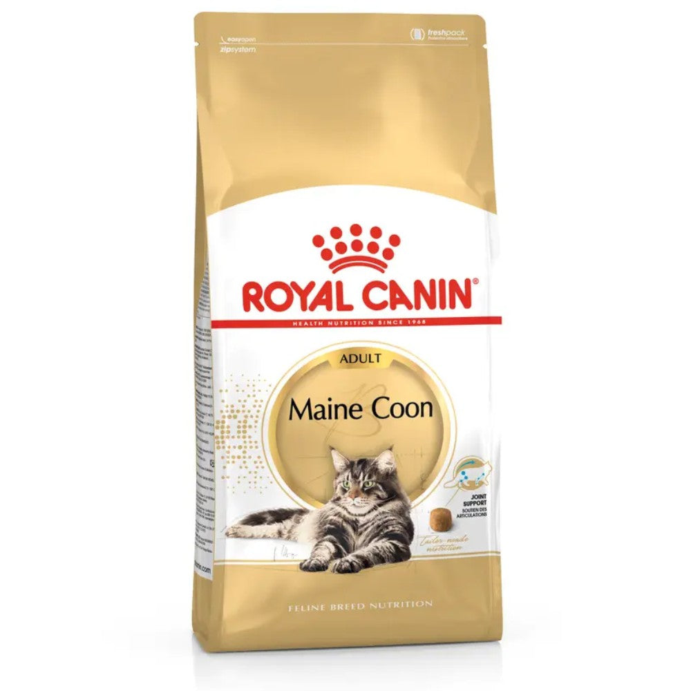 Royal Canin Maine Coon 31 Pienso para Gatos Adultos al mejor precio -Todoanimal.es