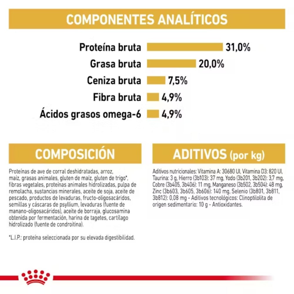 Royal Canin Maine Coon 31 Pienso para Gatos Adultos al mejor precio -Todoanimal.es