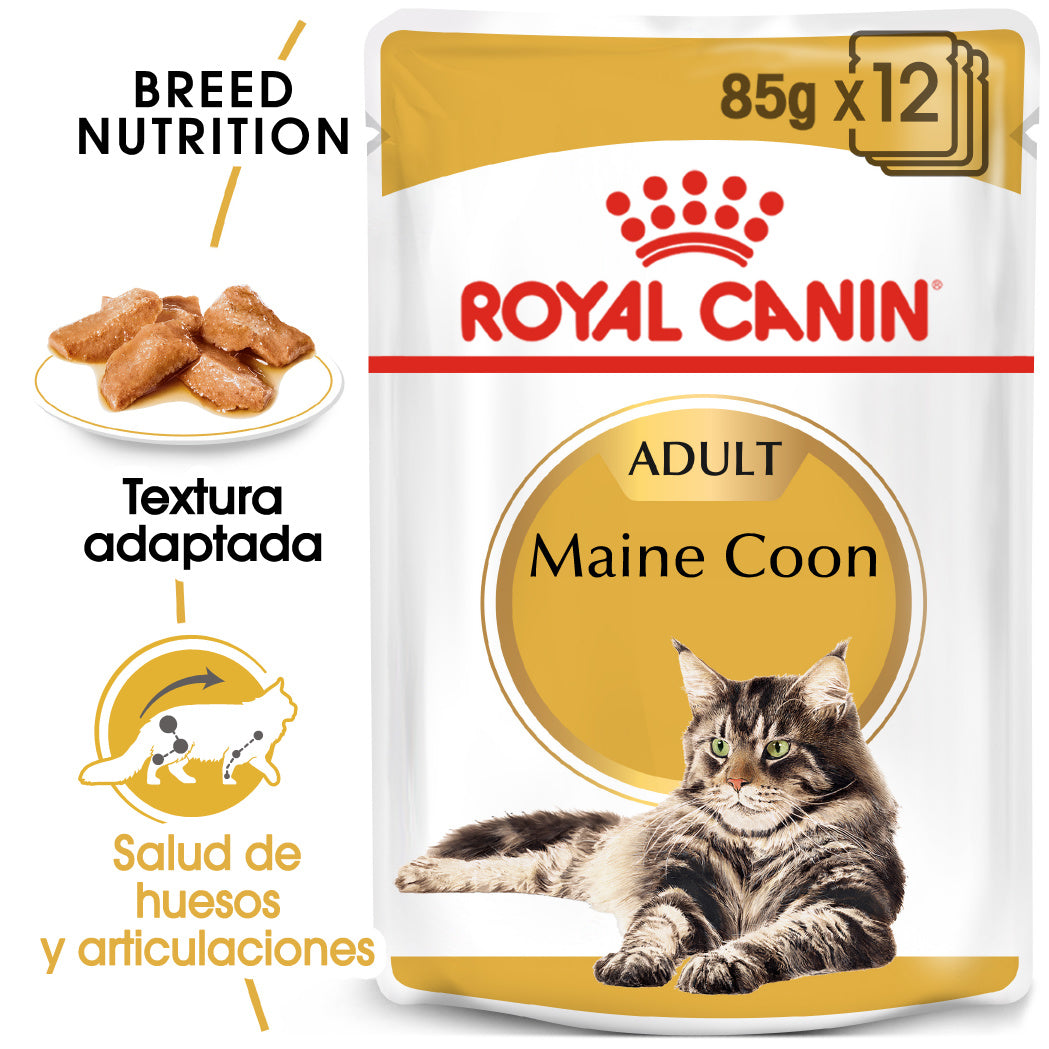 Royal Canin Maine Coon Wet 85 g Paté Húmedo para Gatos al mejor precio -Todoanimal.es