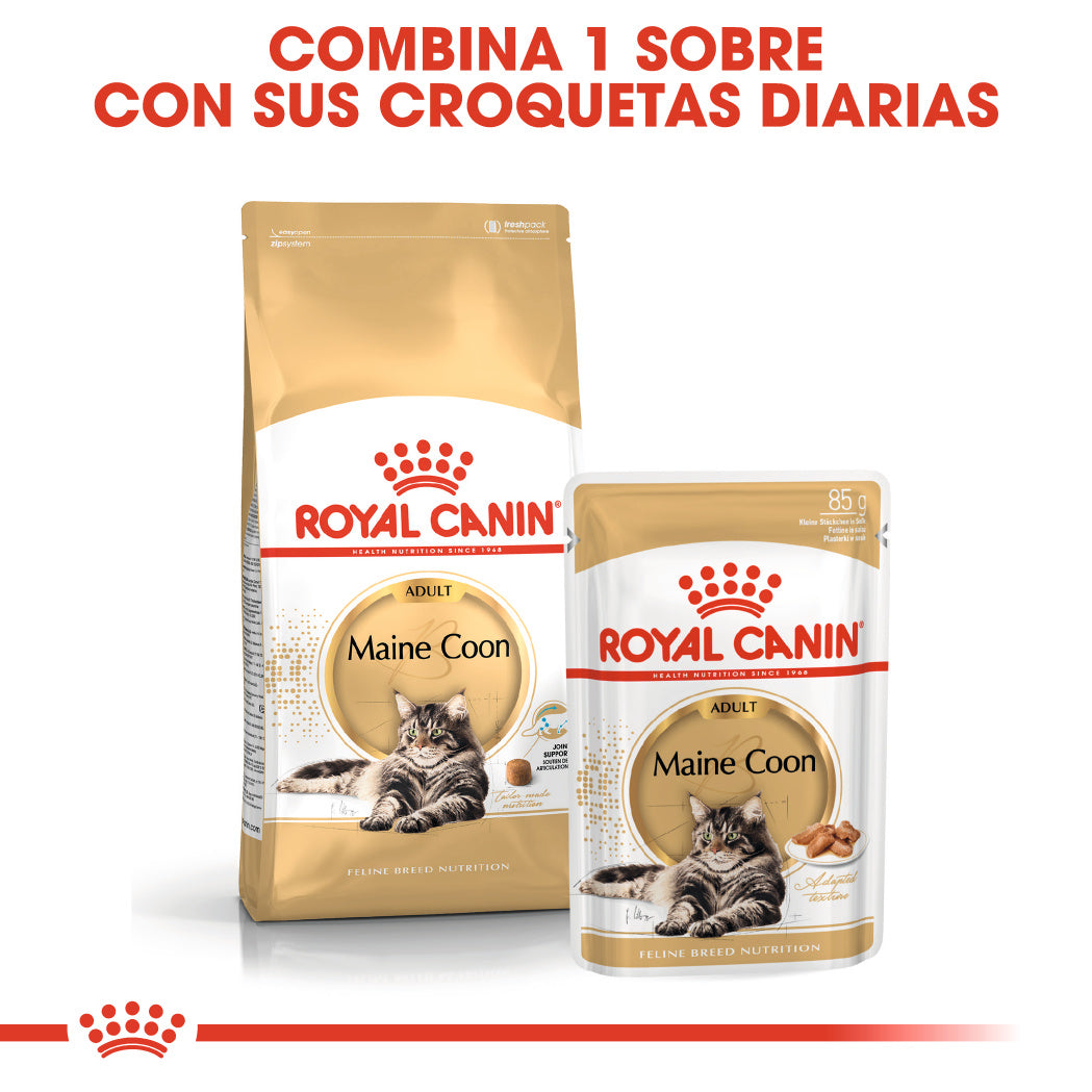 Royal Canin Maine Coon Wet 85 g Paté Húmedo para Gatos al mejor precio -Todoanimal.es