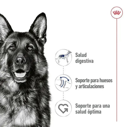 Royal Canin Maxi Adult 410gr lata perro húmedo ROYAL CANIN IBÉRICA S.A.U.