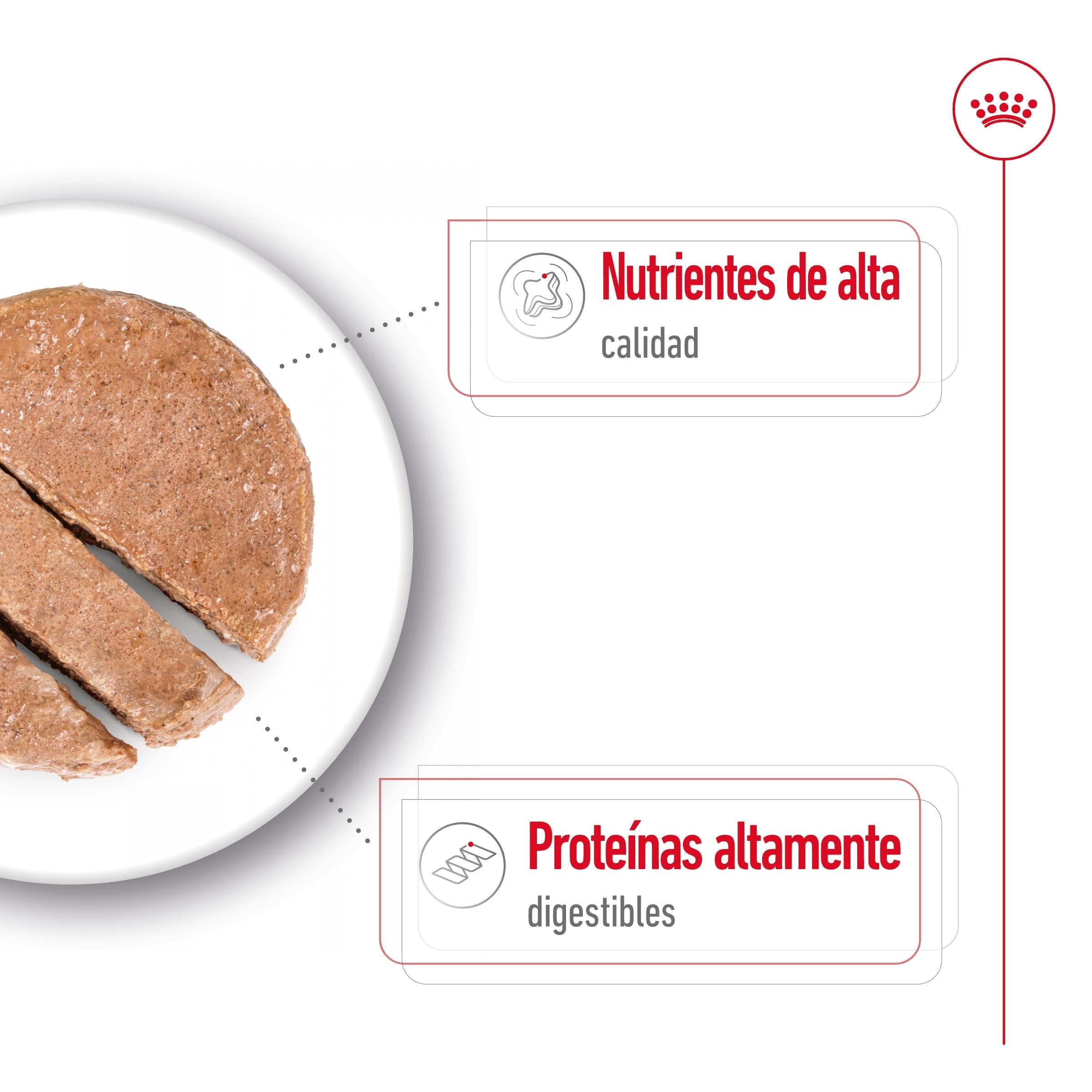 Royal Canin Maxi Adult Lata 410 g Paté Húmedo para Perros al mejor precio -Todoanimal.es
