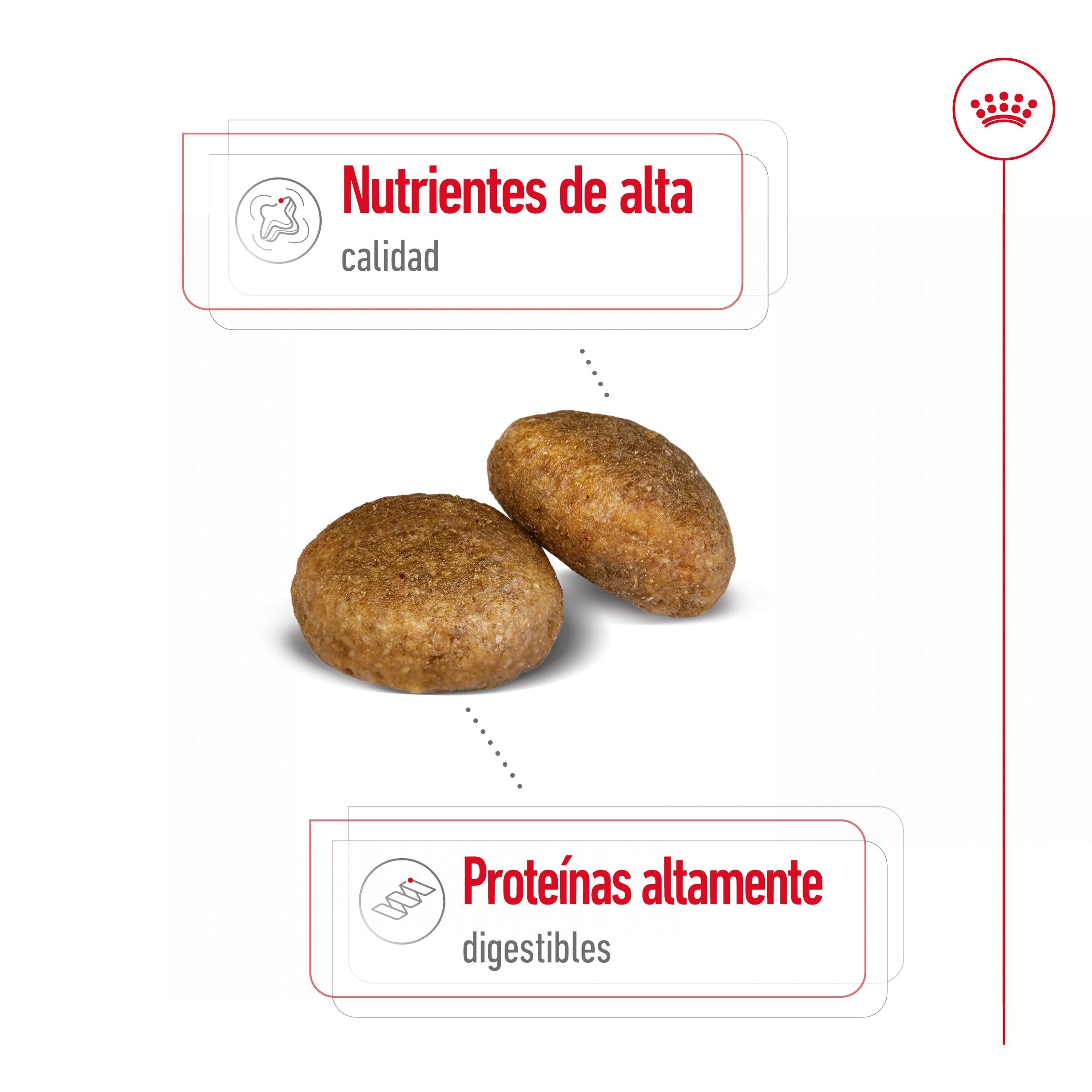 Royal Canin Maxi Adult Pienso para Perros al mejor precio -Todoanimal.es