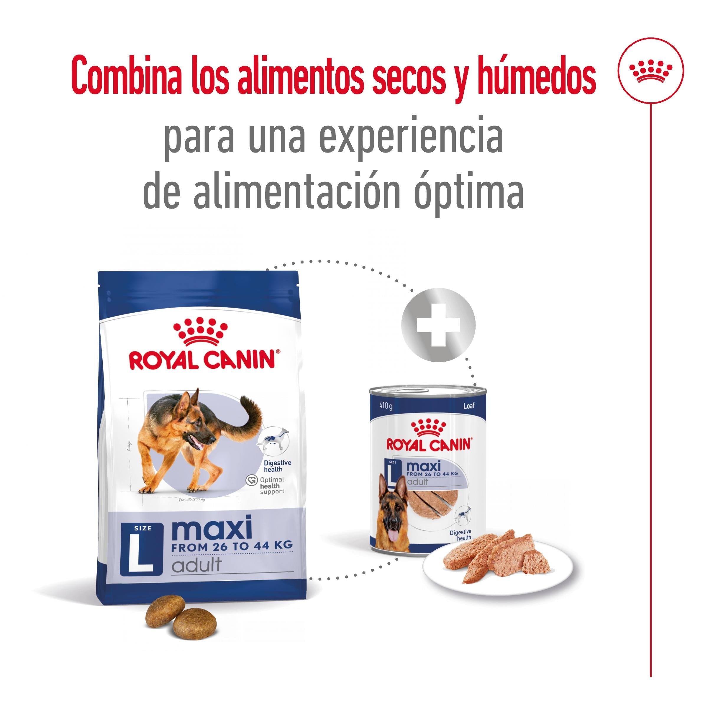 Royal Canin Maxi Adult Pienso para Perros al mejor precio -Todoanimal.es